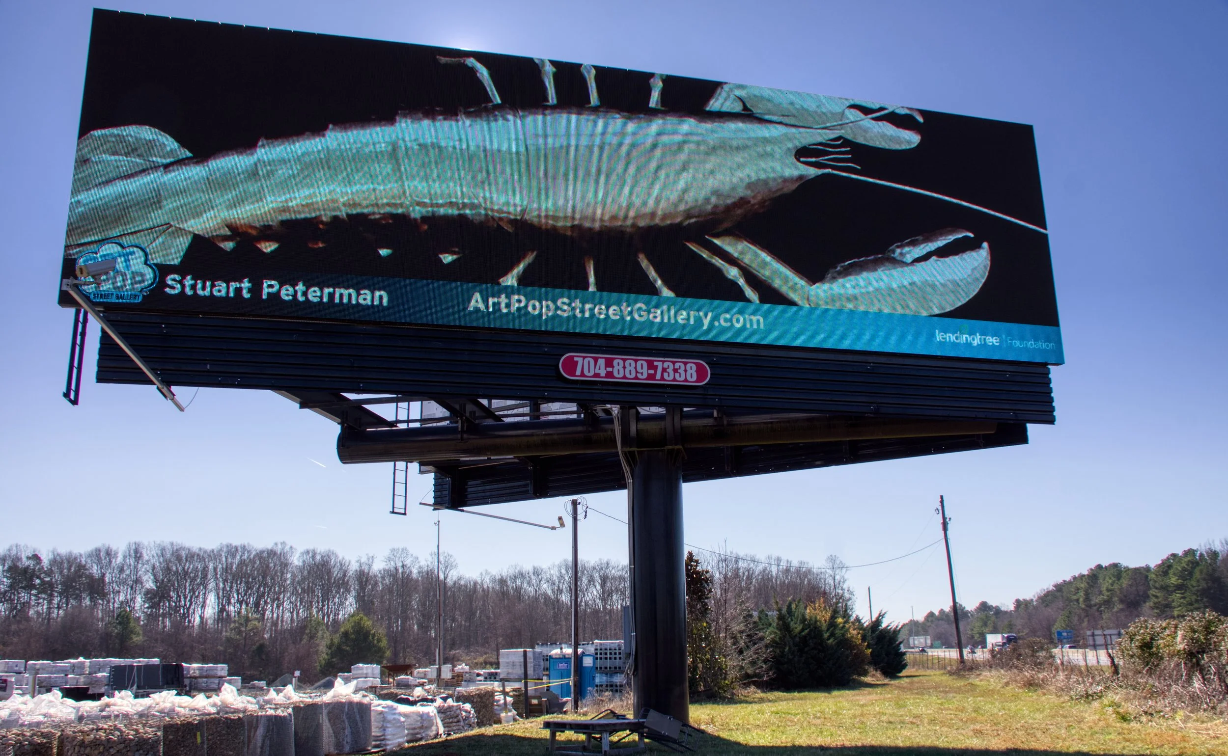 ArtPop Street Gallery Cities Program Class of 2022 Adams Digital Billboard Stuart Peterman.jpg