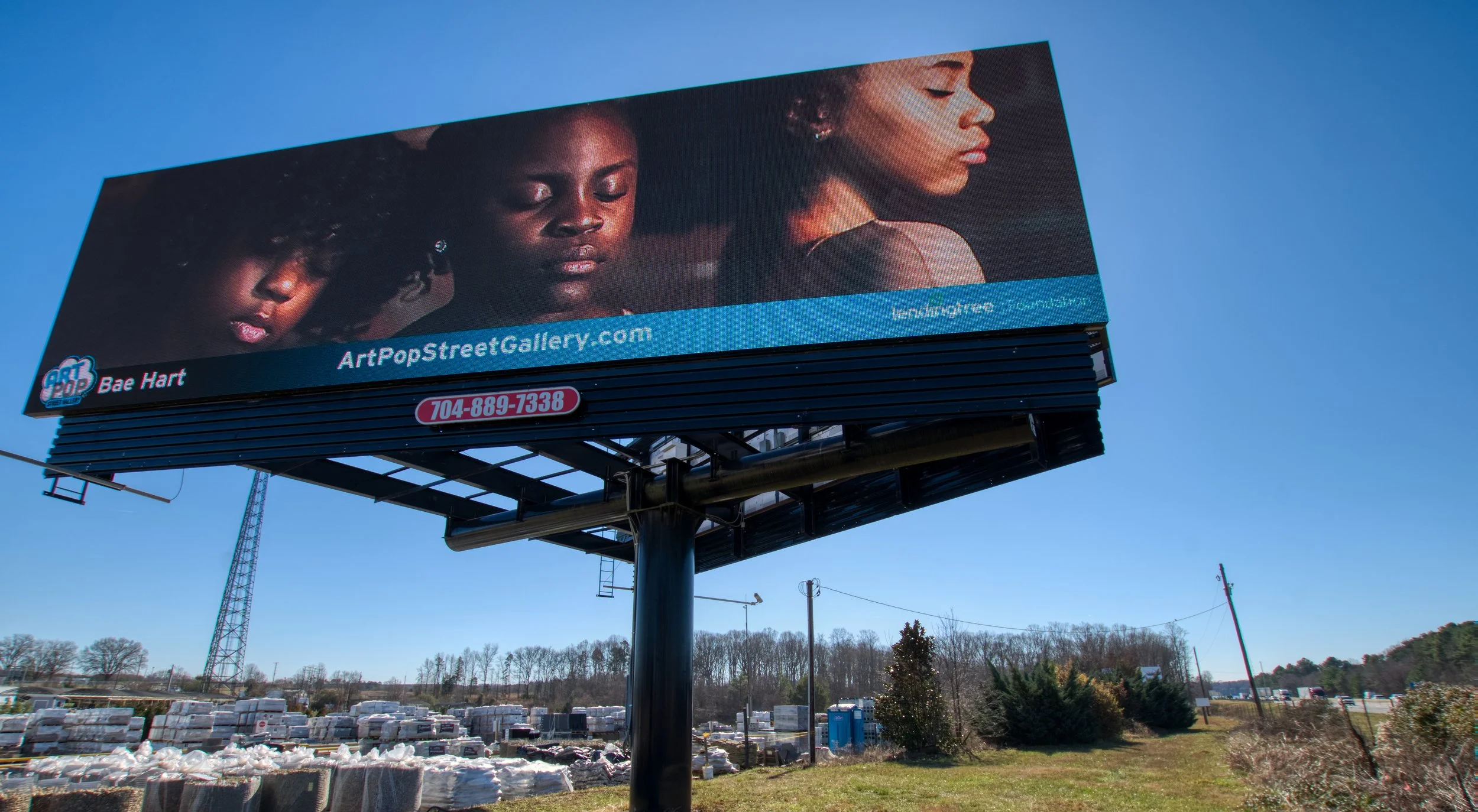 ArtPop Street Gallery Cities Program Class of 2022 Digital Billboard Bea Hart.jpg