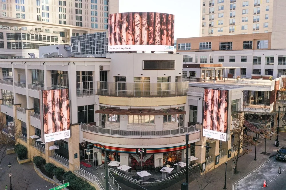 ArtPop Street Gallery Cities Program Class of 2025 Orange Barrel Media Uptown Charlotte Queen City Quarter Digital Display Susan Jedrzejewski.jpeg