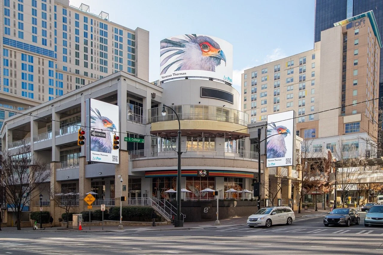 ArtPop Street Gallery Cities Program Class of 2025 Orange Barrel Media Uptown Charlotte Queen City Quarter Digital Display Vanessa Thorman.jpeg