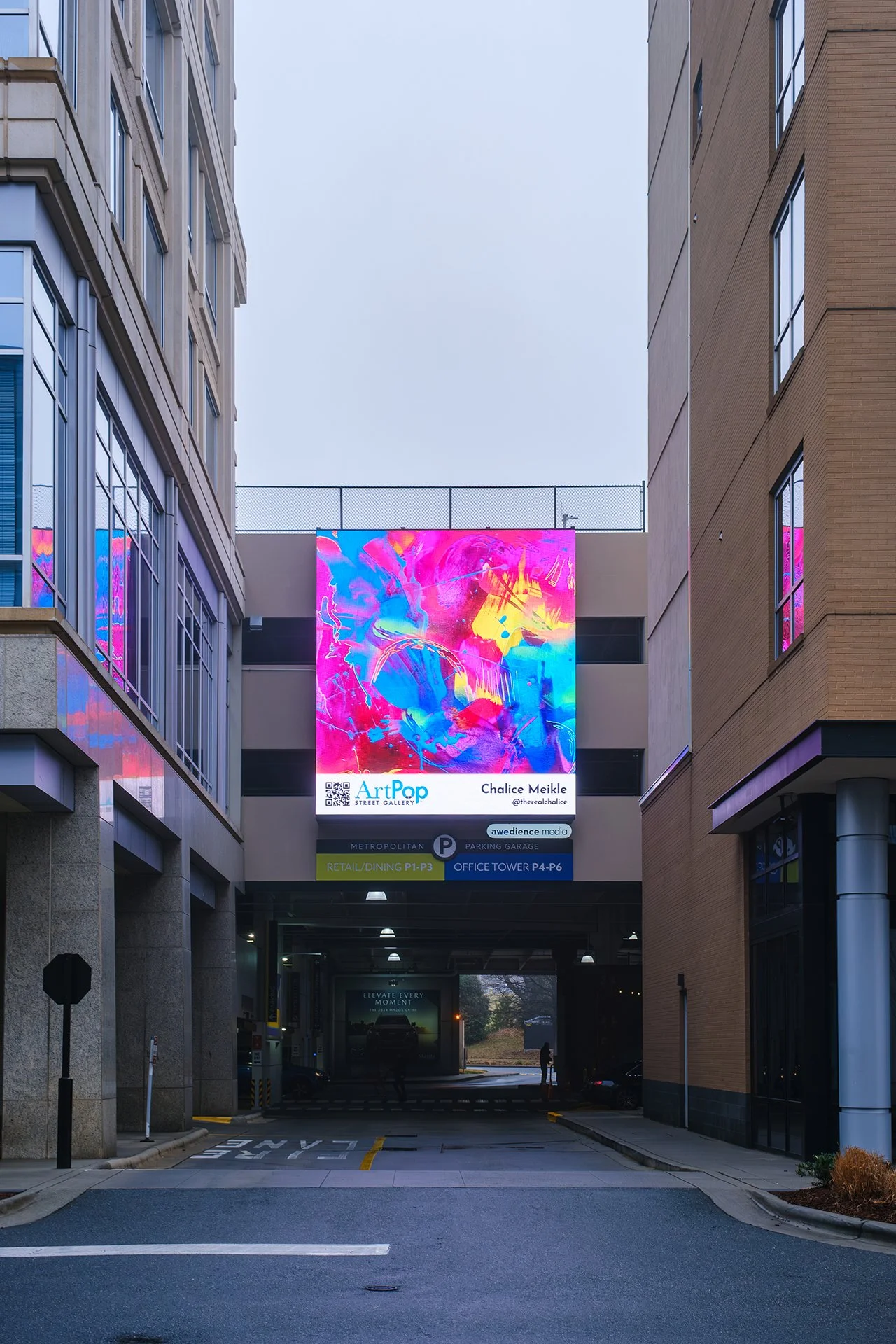 ArtPop Street Gallery Cities Program Class of 2025 Awedience Media Metropolitan Digital Display Chalice Meikle.jpg