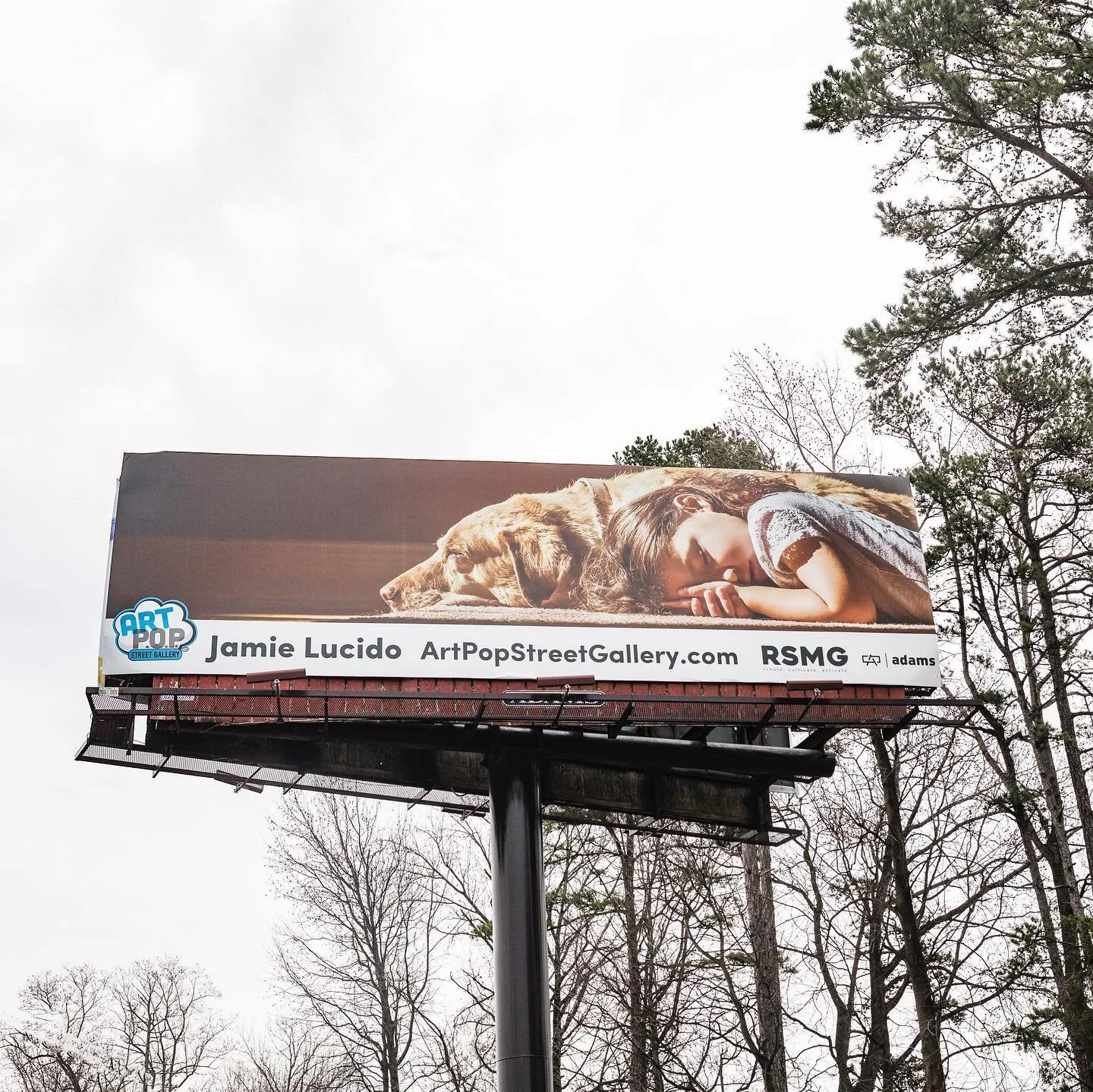 ArtPop Street Gallery Cities Program Class of 2020 Adams Printed Billboard Jamie Lucido.jpg