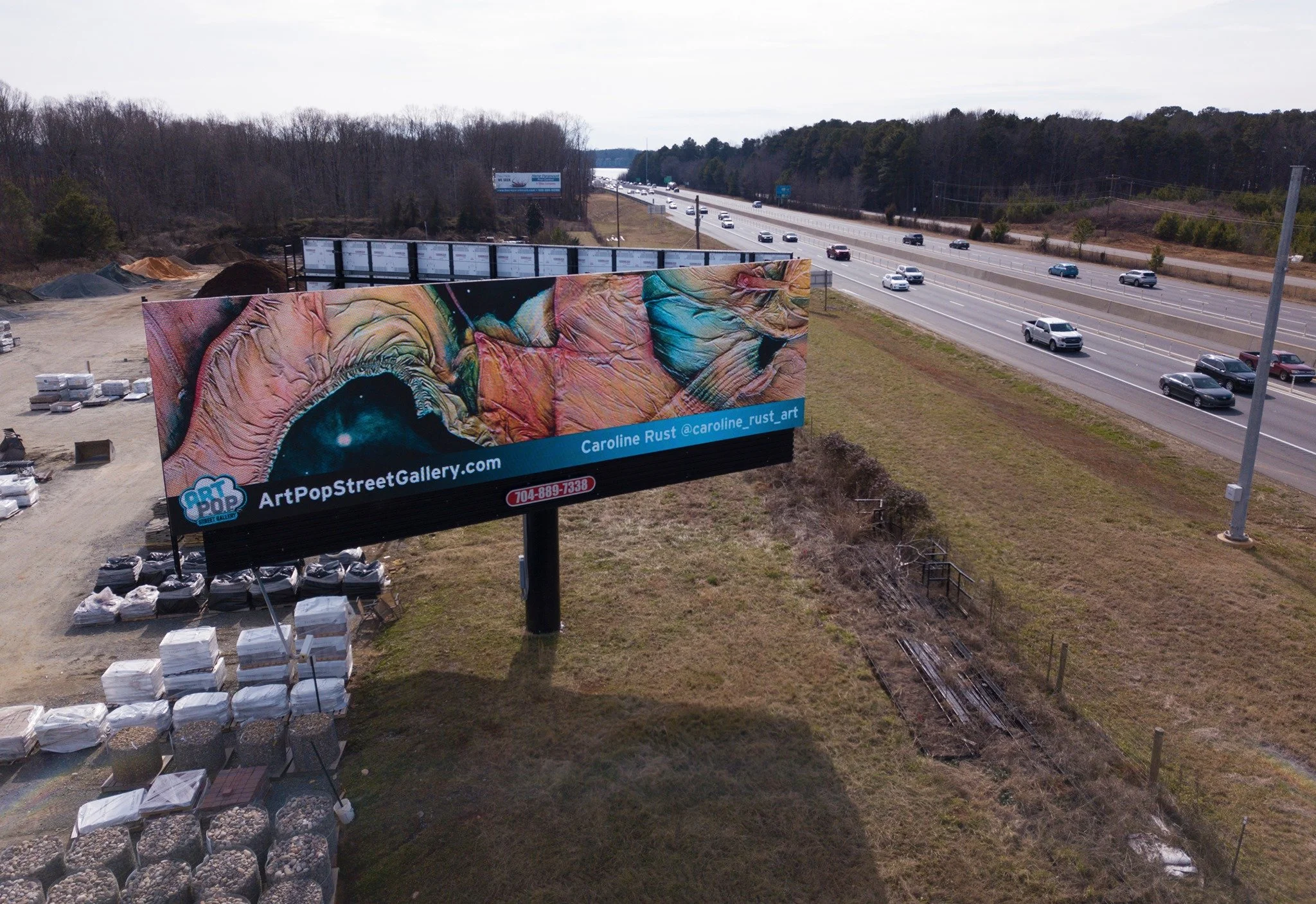 ArtPop Street Gallery Cities Program Class of 2021 Digital Billboard Caroline Rust.jpg