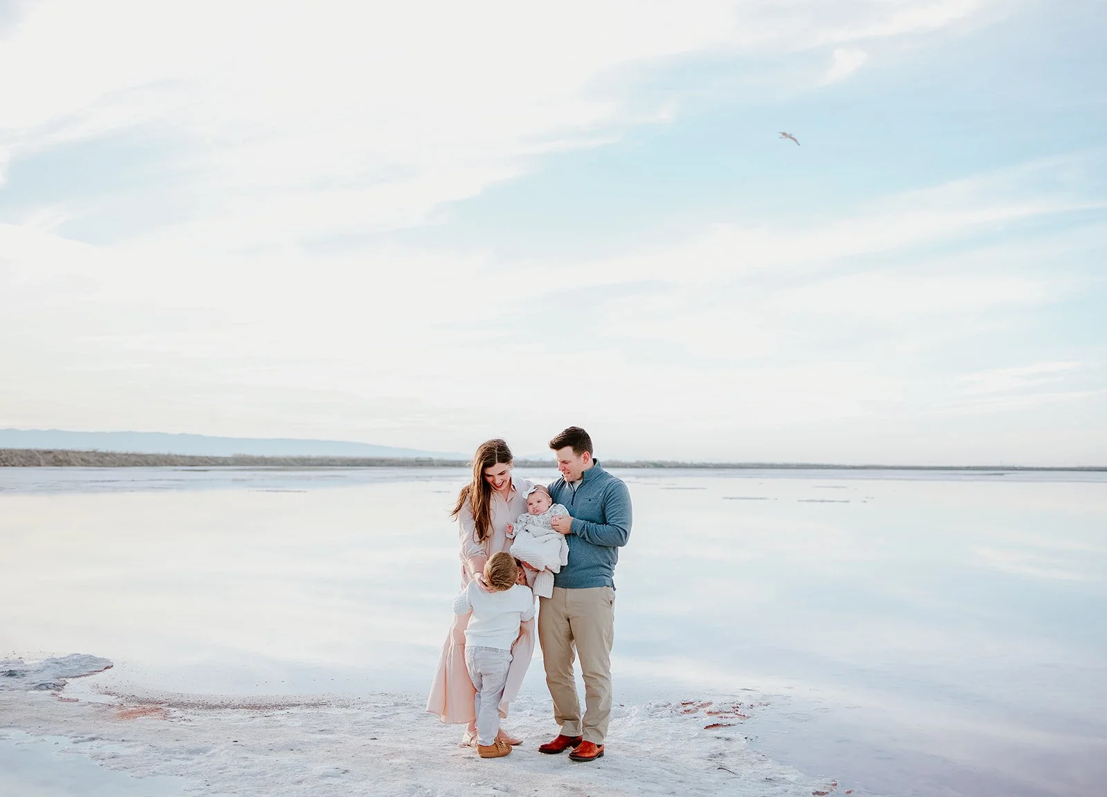 San jose Alviso Adobe Salt Lake pictures.jpg