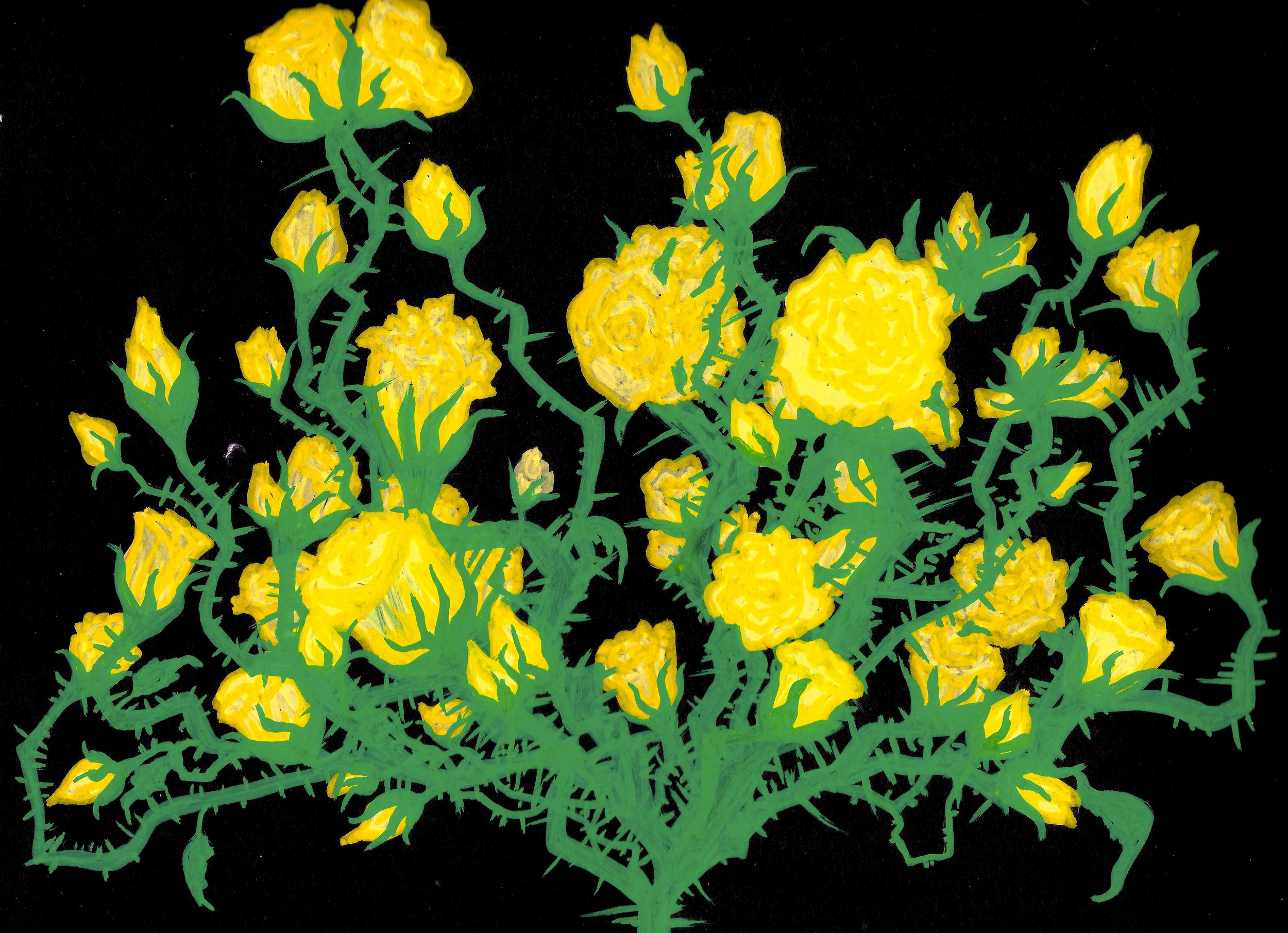 Yellow Rosebush