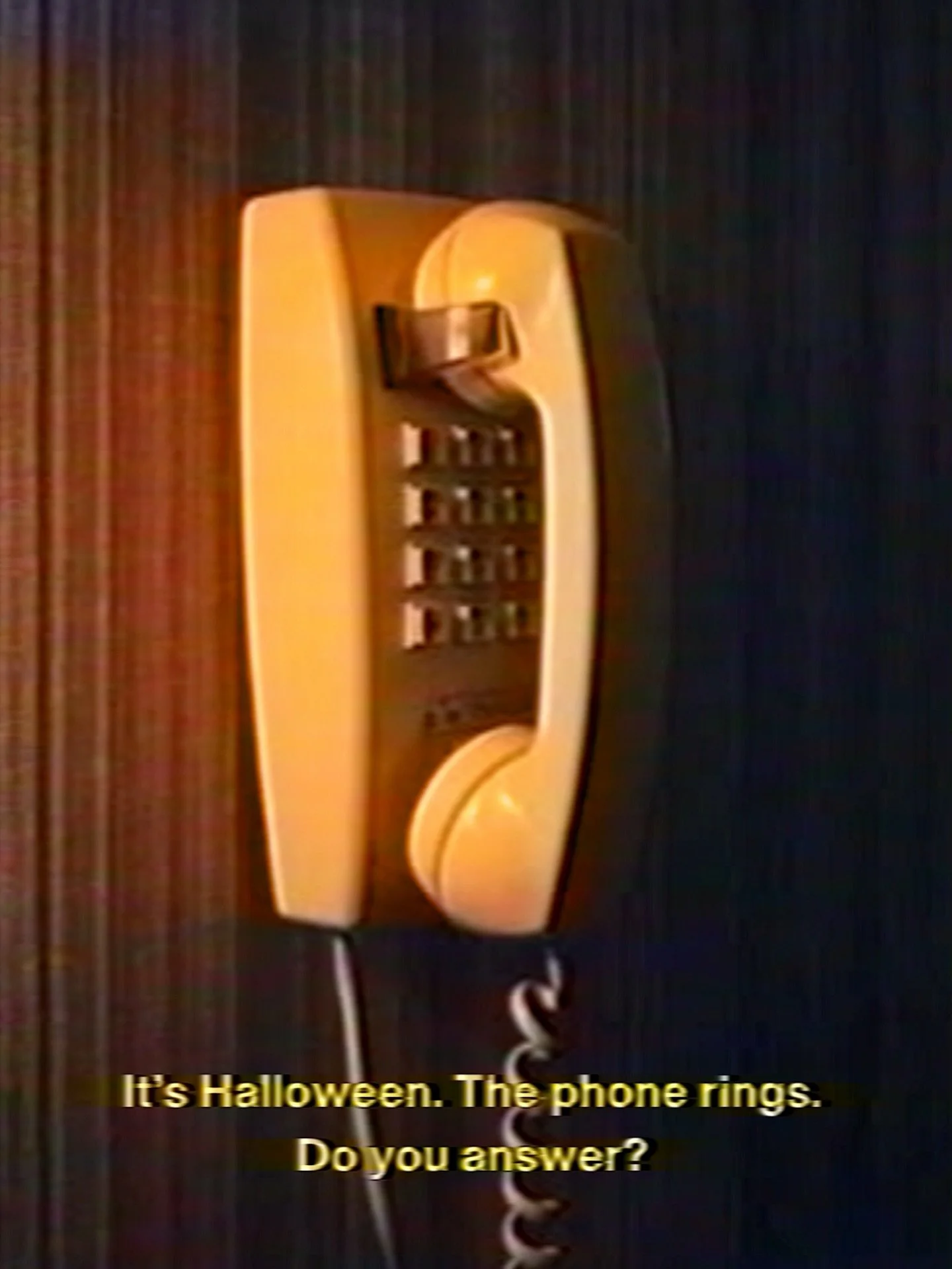 I mean&hellip;&hellip;&hellip;&hellip;&hellip;&hellip;. what if our pizza delivery guy is lost? 🫣

but srsly are you answering?

#spookyseason #dontbemessy #halloween #halloweenfun #spookyvibes #halp #haunt #scarymovie #scream #screamqueens