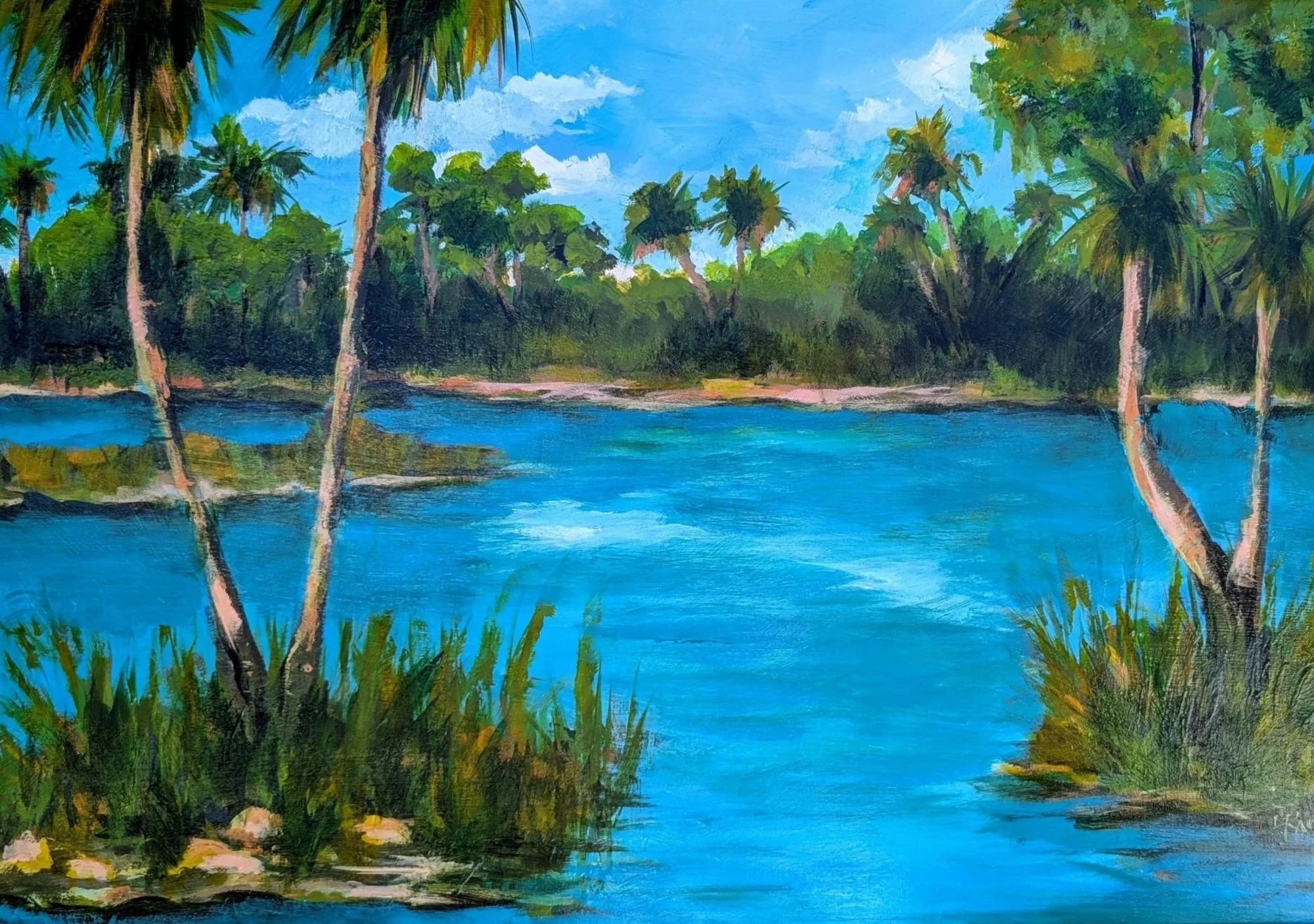Estero Bay