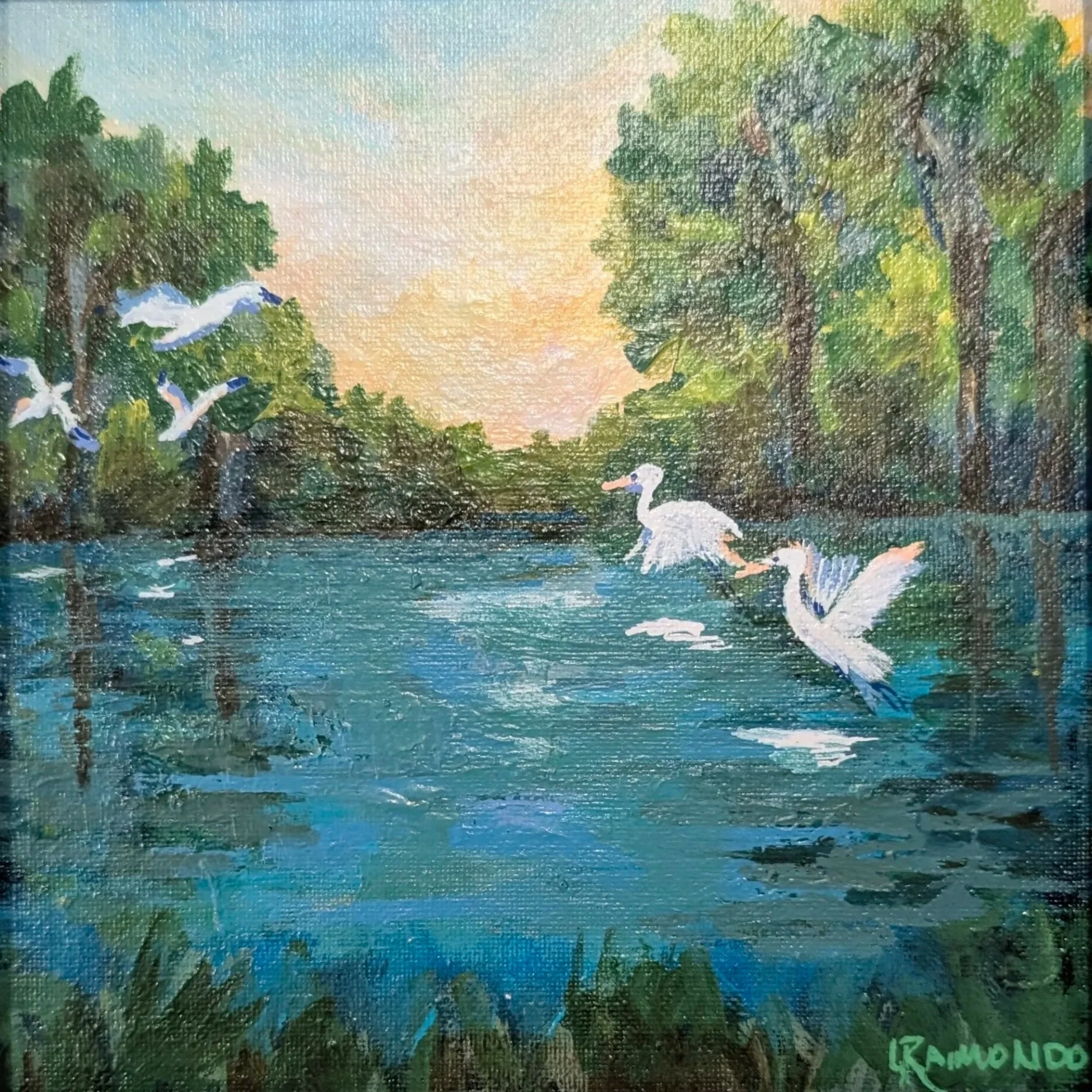 Birds in the Bay