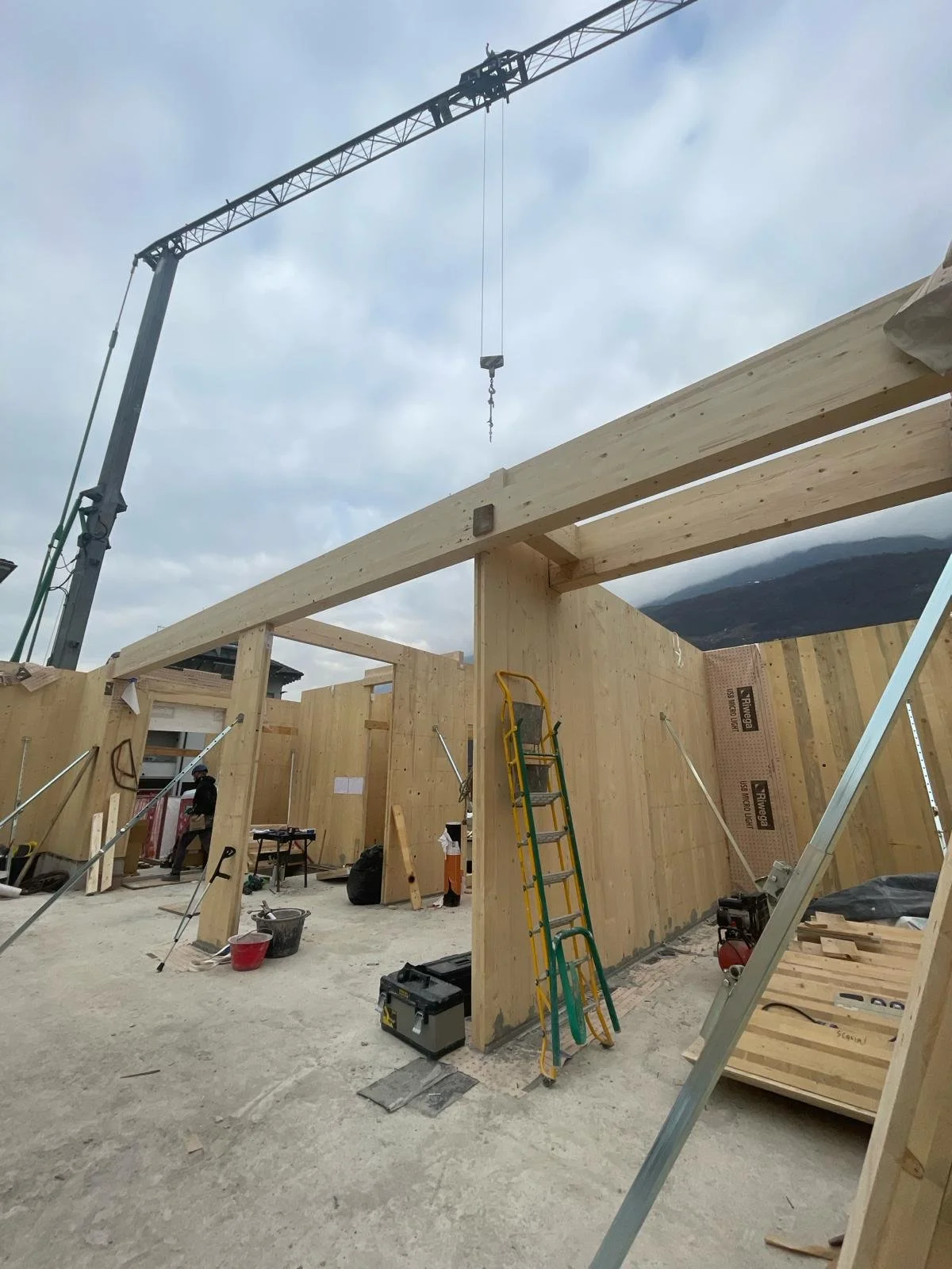 WhatsApp Image 2024-02-07 at 11.37.10.jpeg