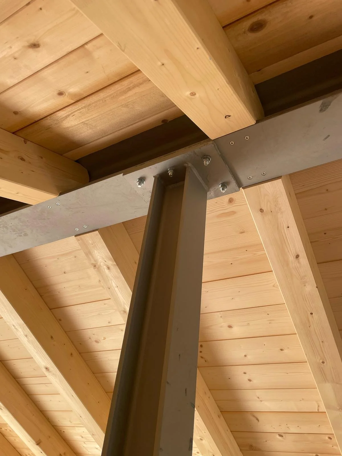 WhatsApp Image 2025-04-30 at 12.11.15.jpeg