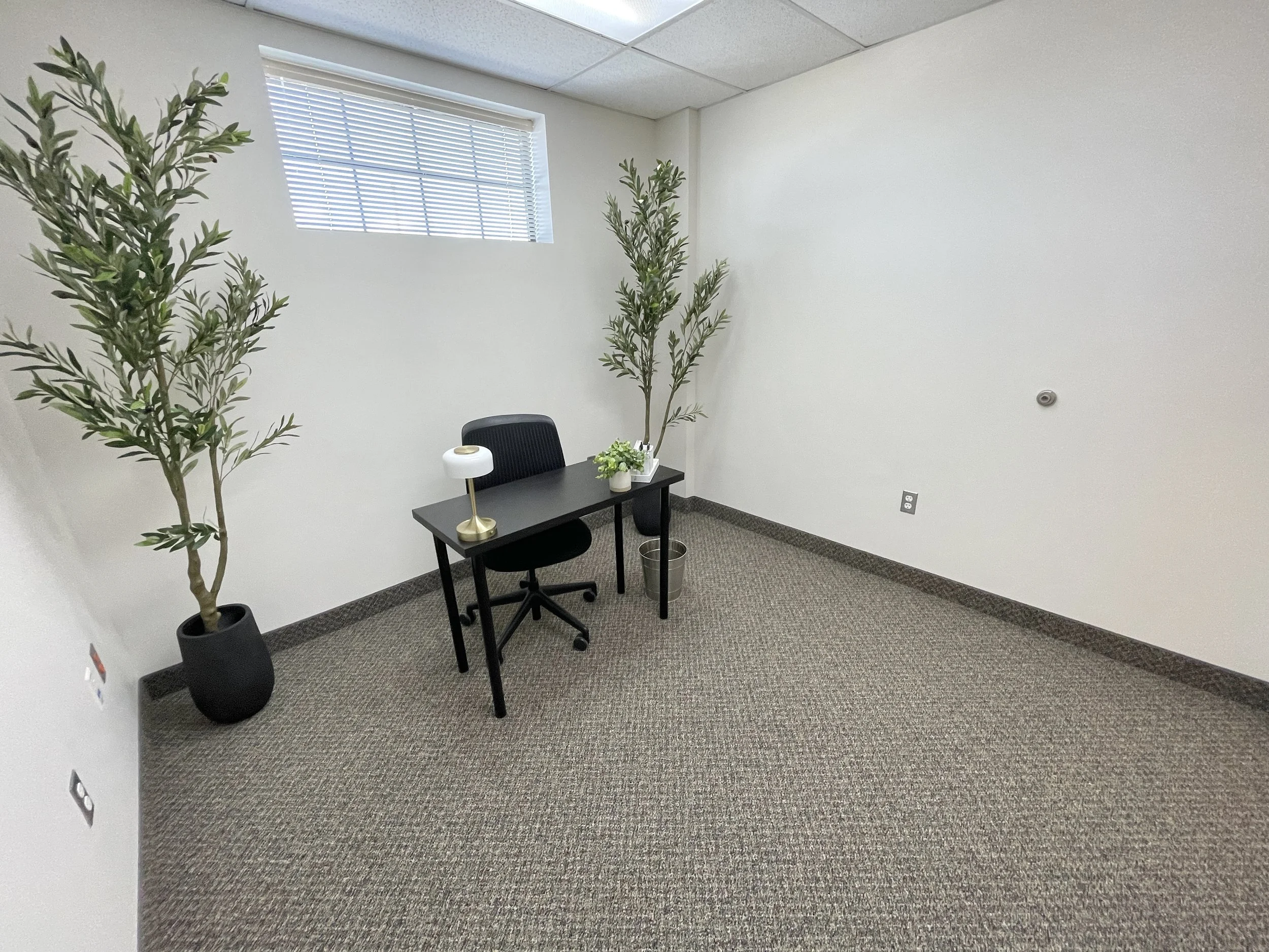 Private office with a desk, chair, decorative plants, and carpeted flooring at 2462 Long Avenue in Fort Worth, Texas.