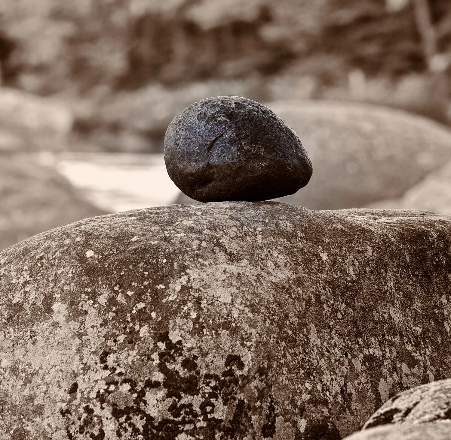 _13E3630 - Version 2.jpg