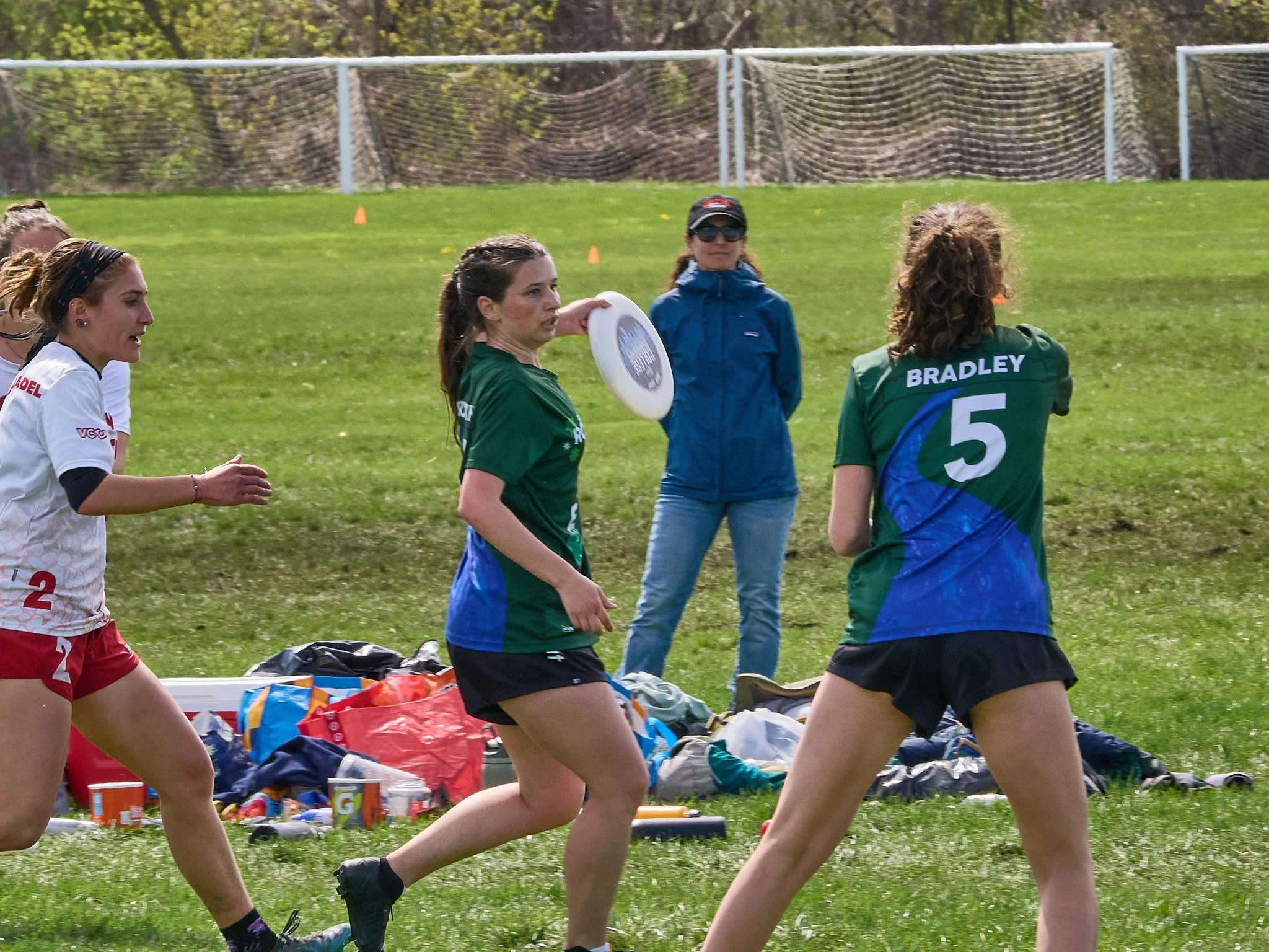 17_4263197.jpg