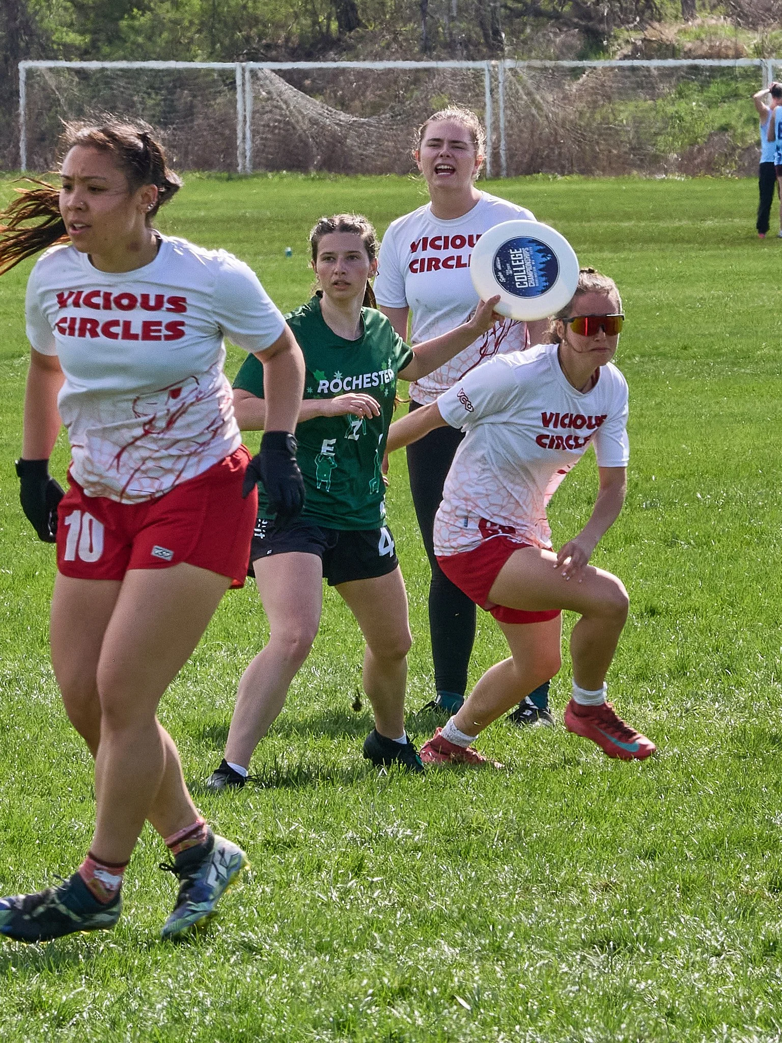 110_4264354.jpg