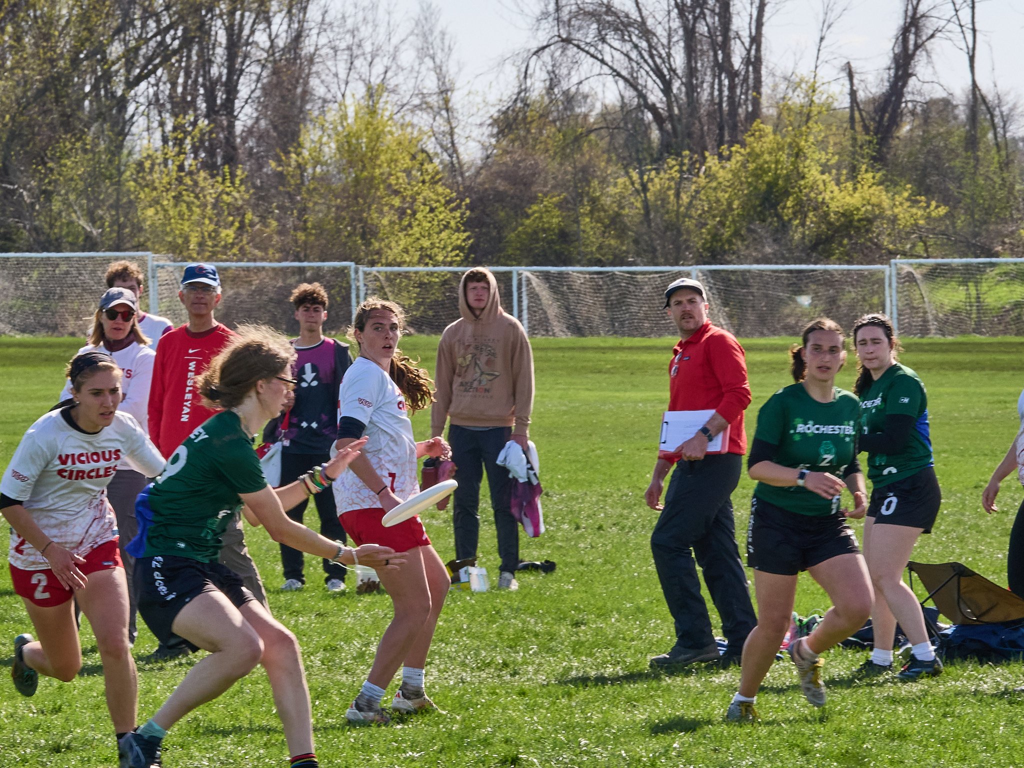 151_4264952.jpg