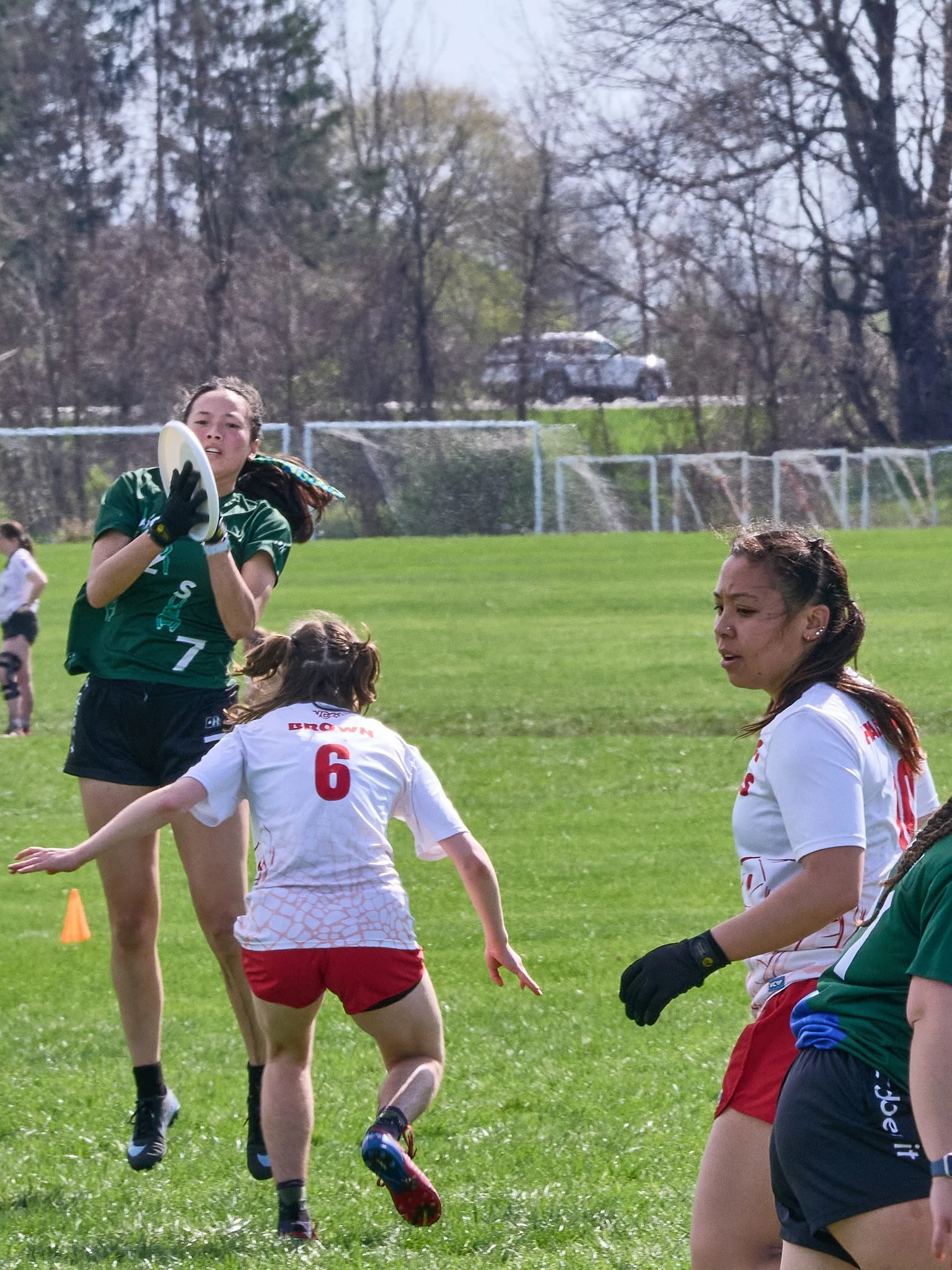 109_4264342.jpg
