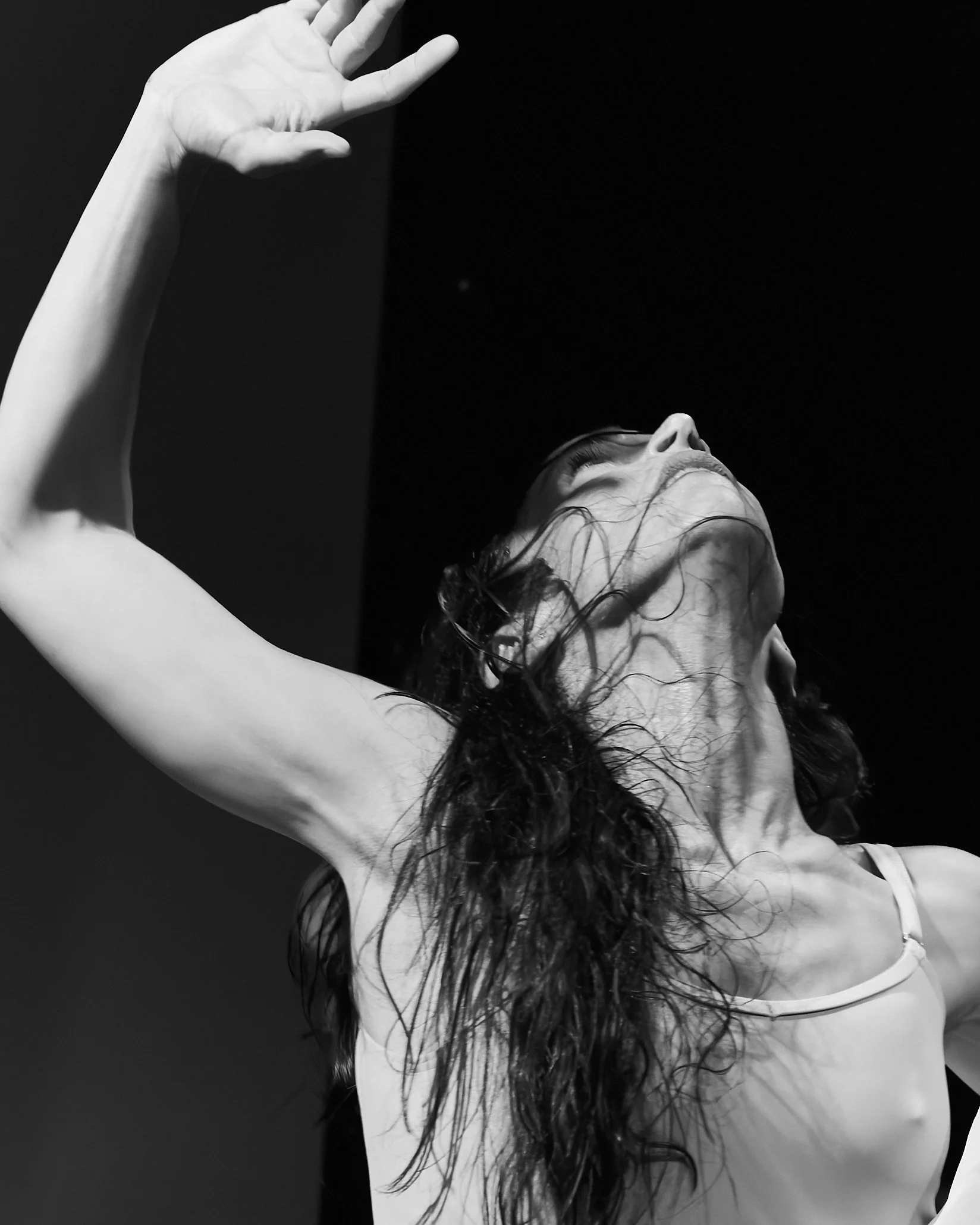 Dandelion_91668951.jpg