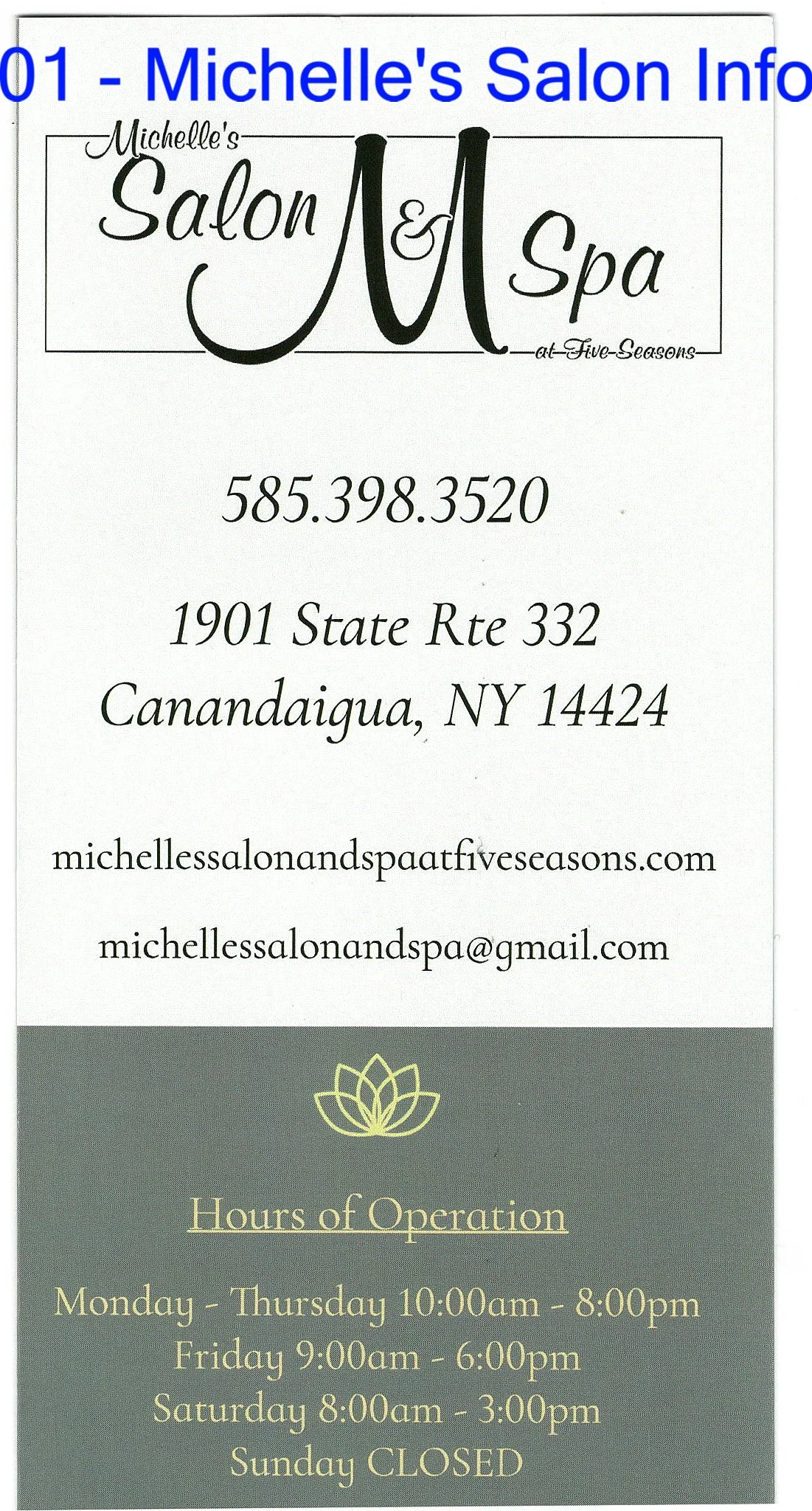 01 - Michelle's Salon Info.jpg
