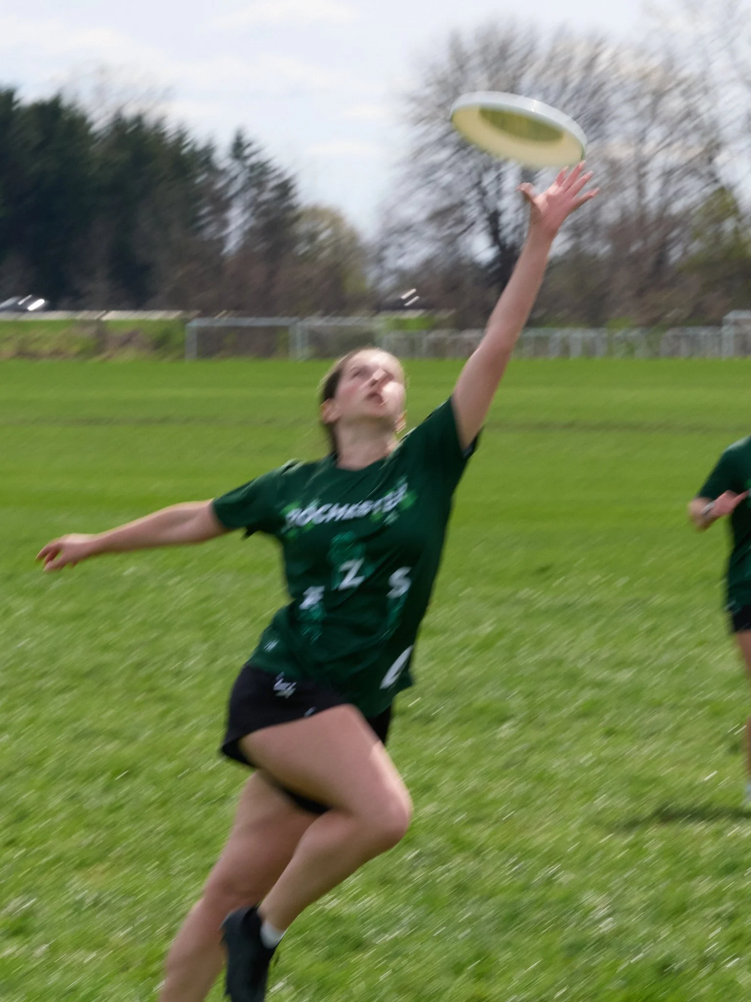 62_4263797.jpg