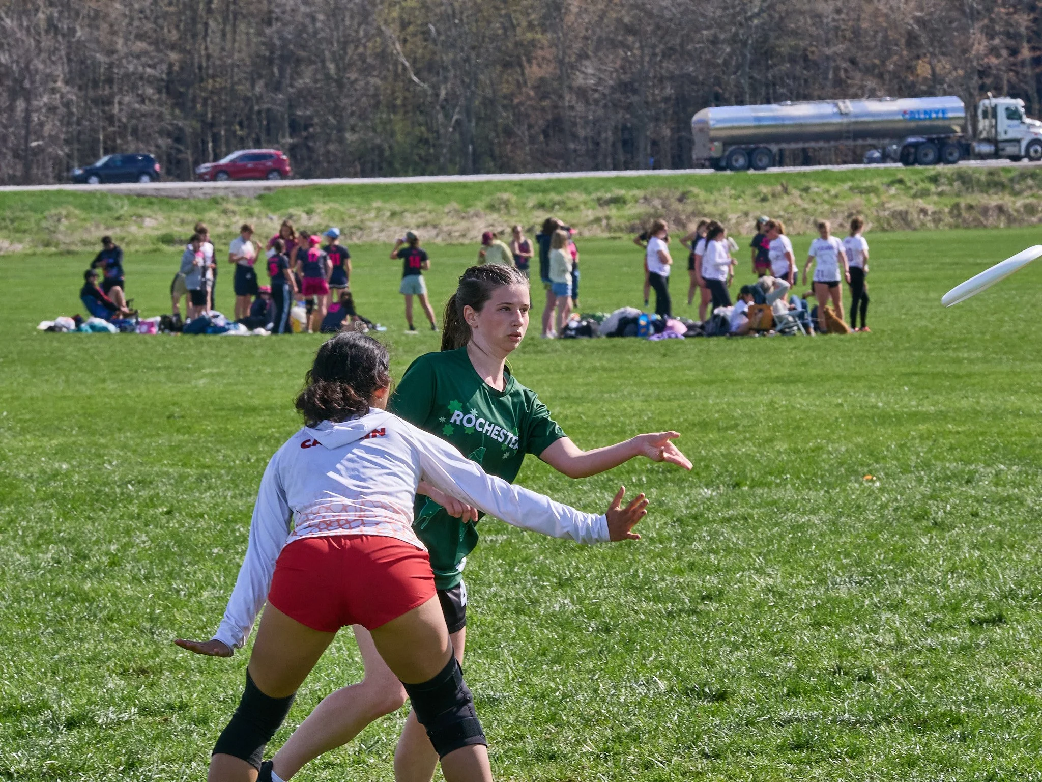 130_4264609.jpg