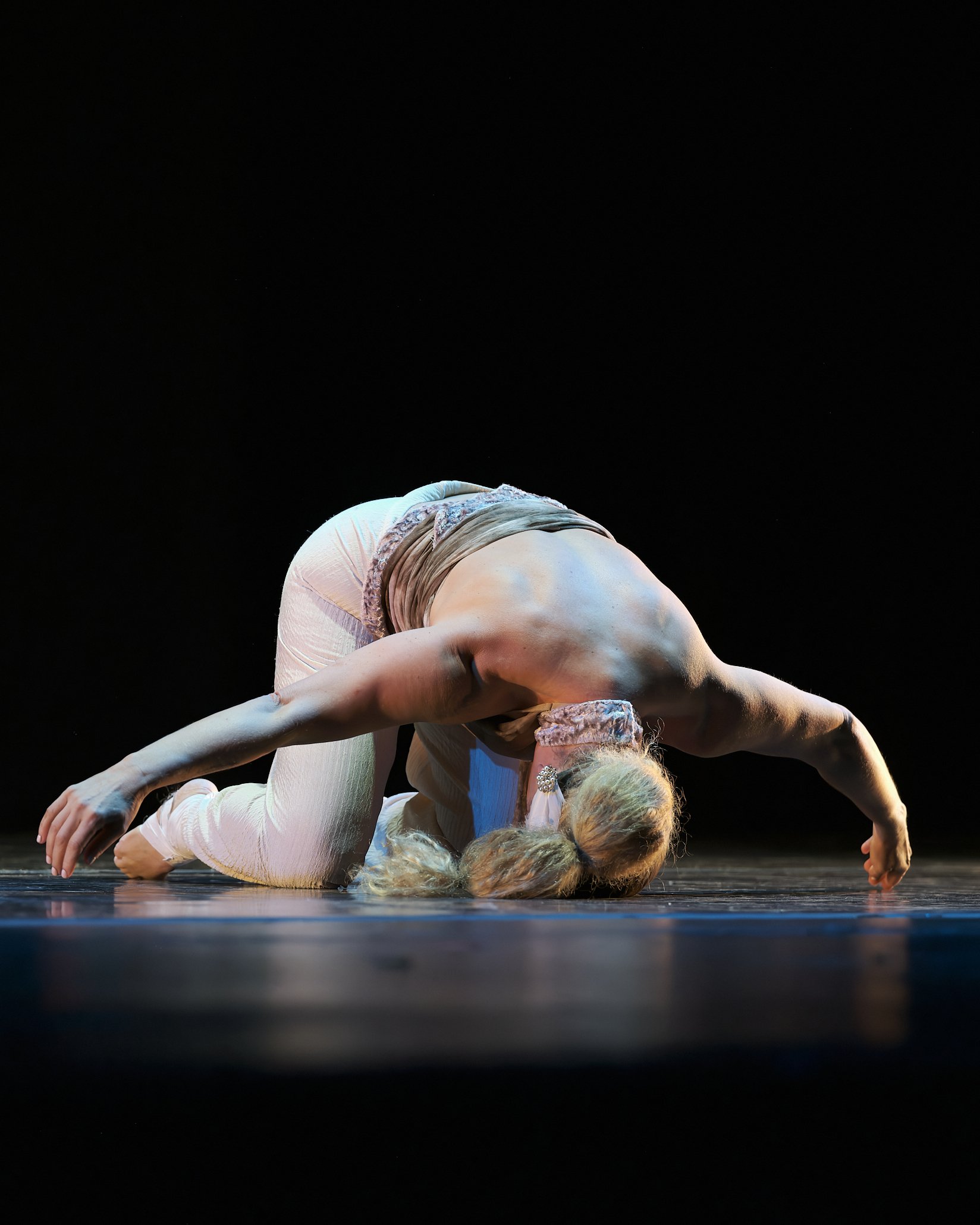Le Cigne (The Swan)_ADB2330.jpg