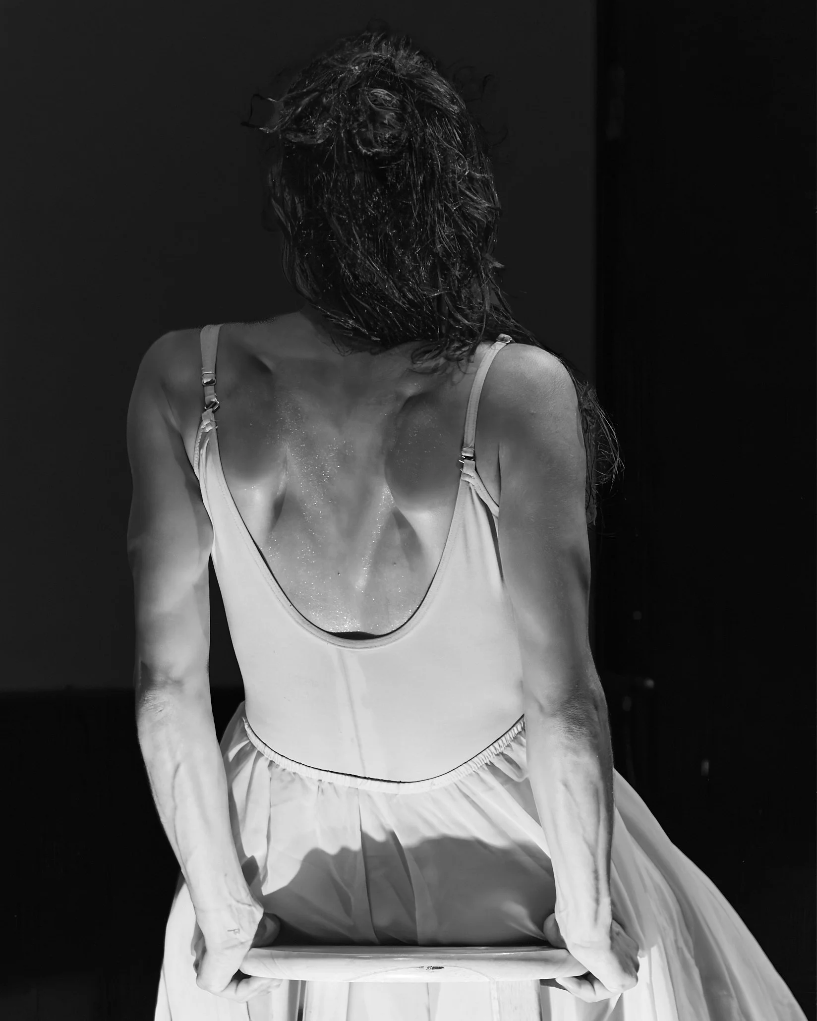 Dandelion_91668361.jpg