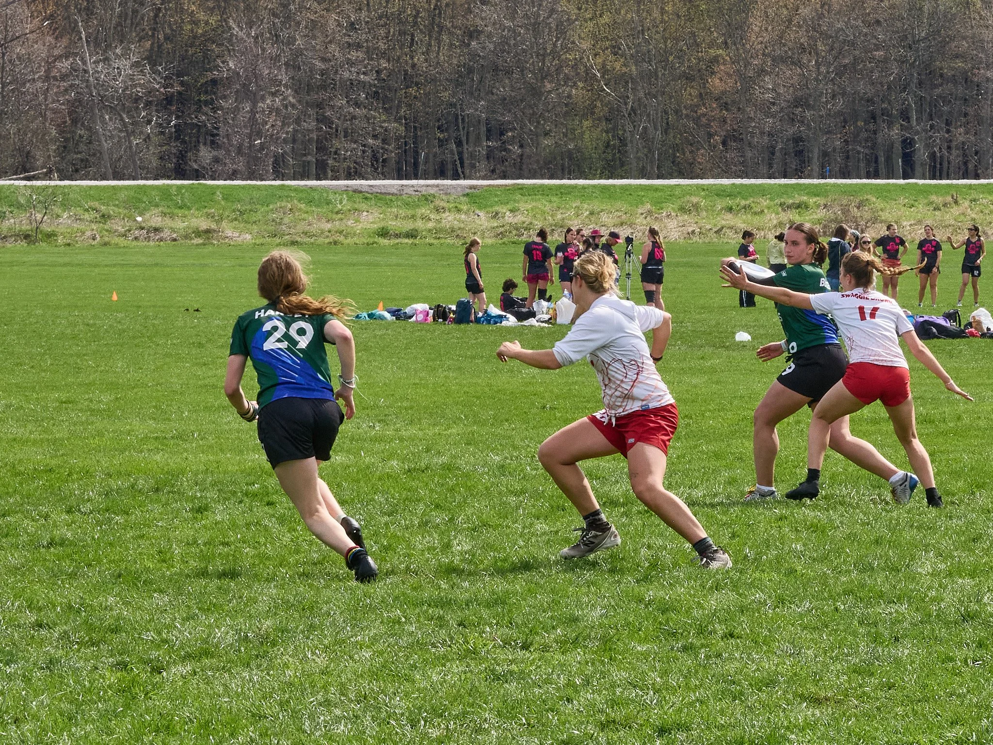 60_4263771.jpg