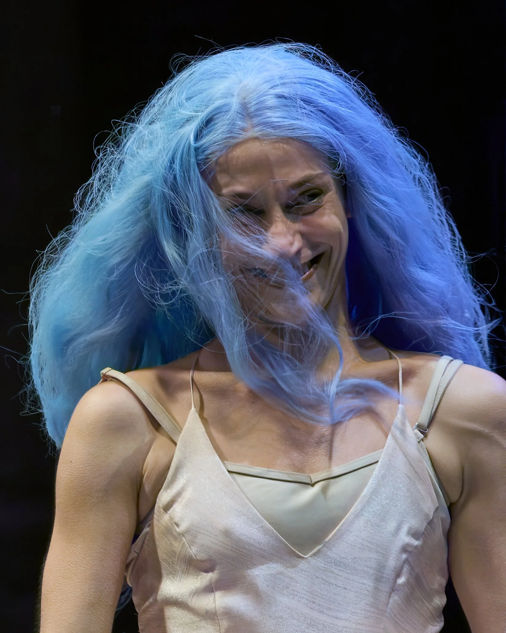 Dandelion_91669521.jpg