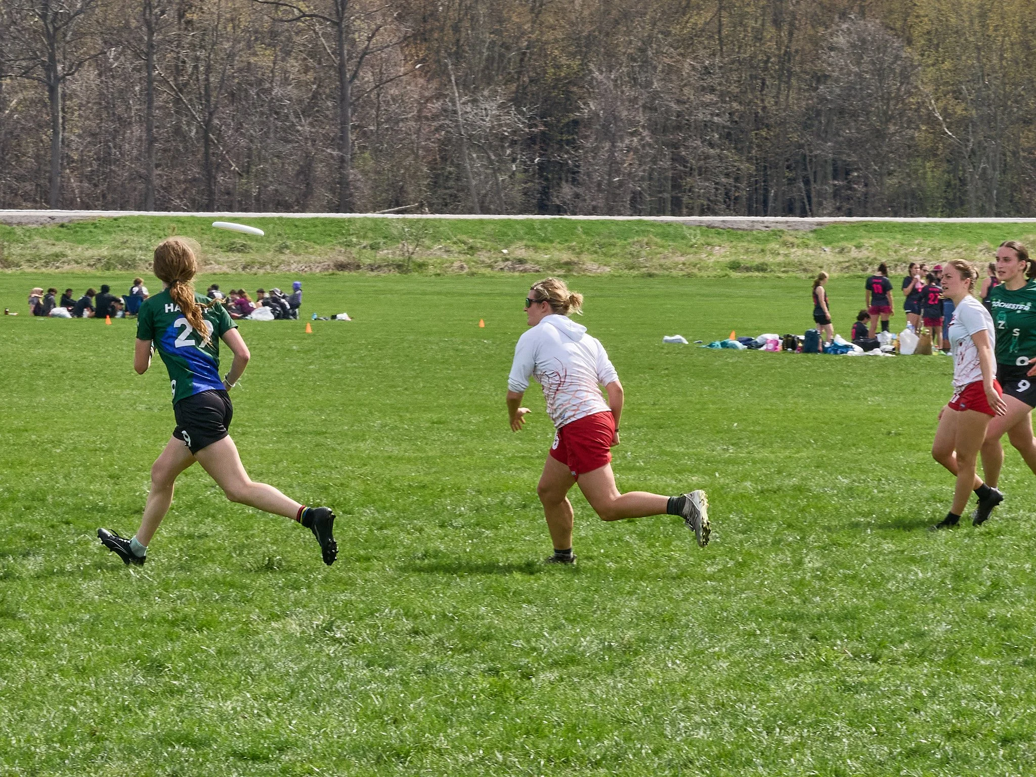 61_4263775.jpg