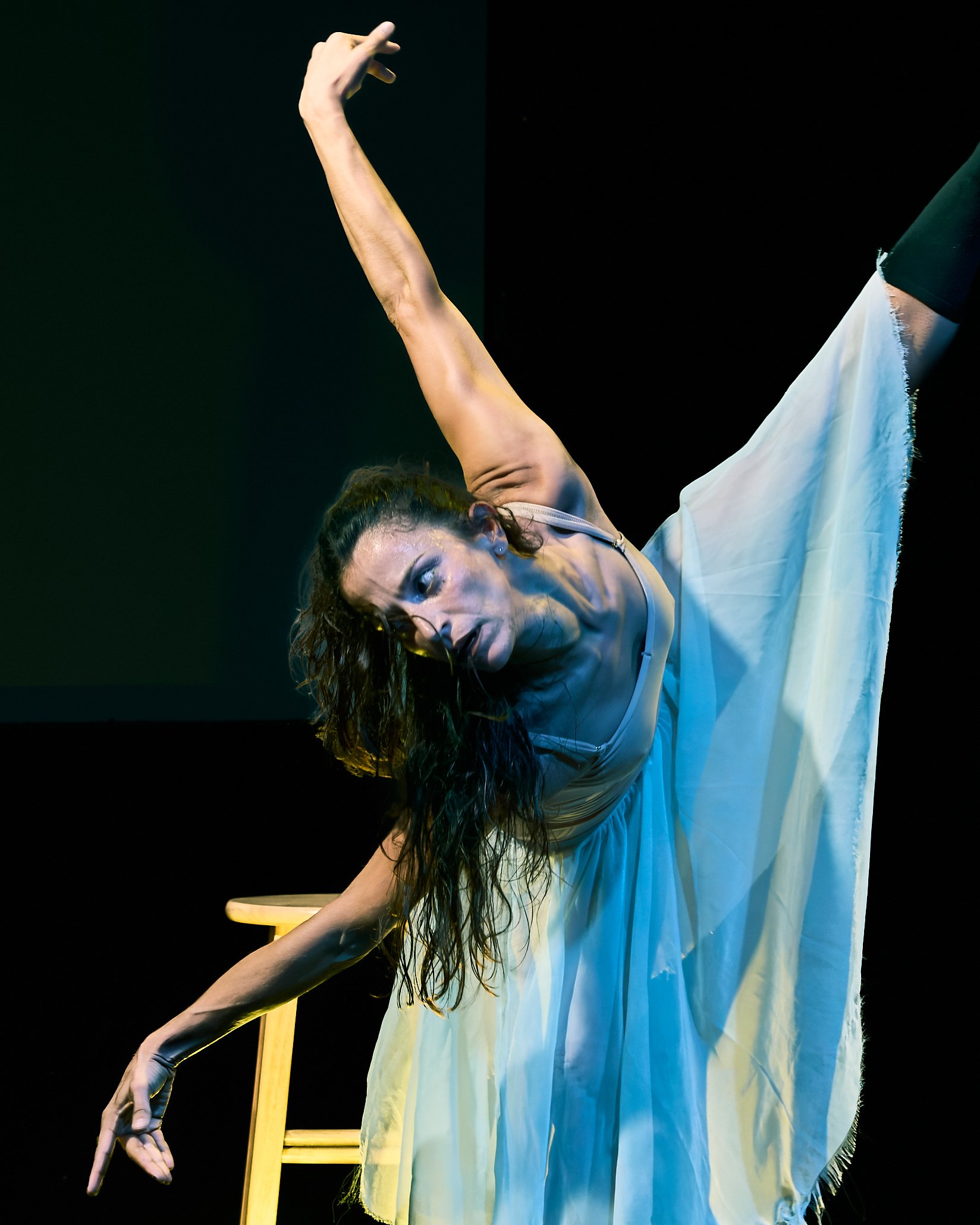 Dandelion_91668921.jpg