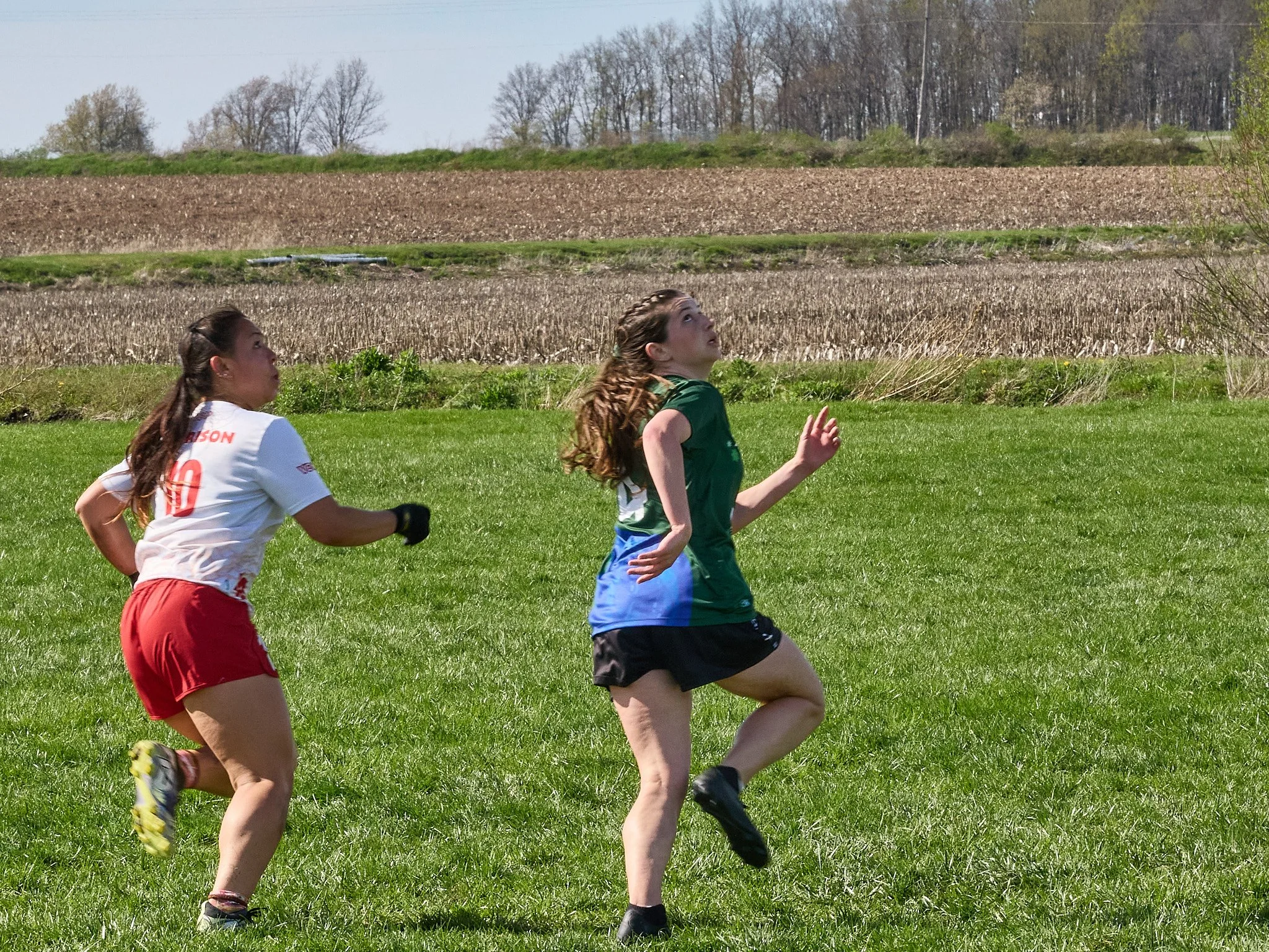 141_4264770.jpg