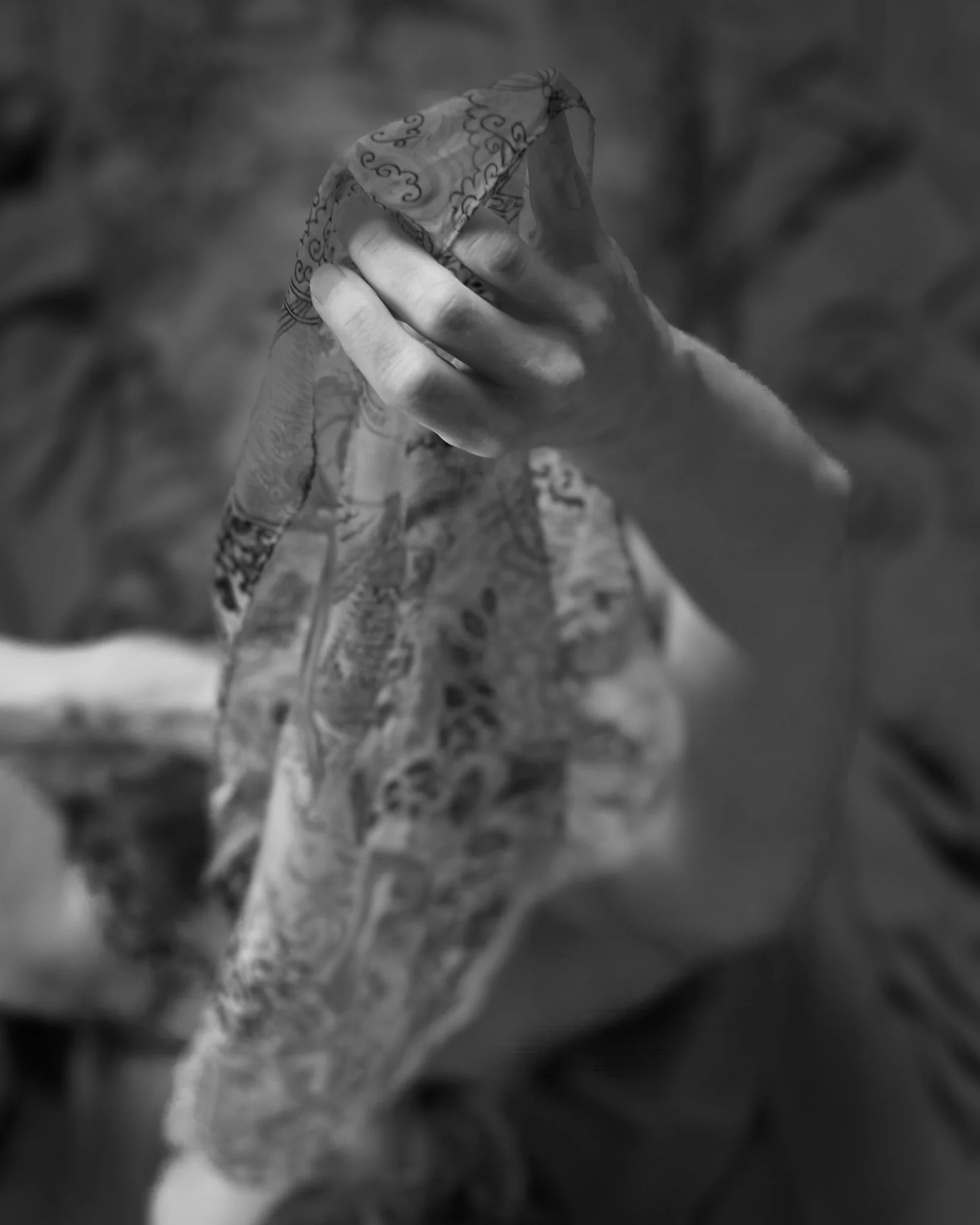IMG_8651-2.jpg