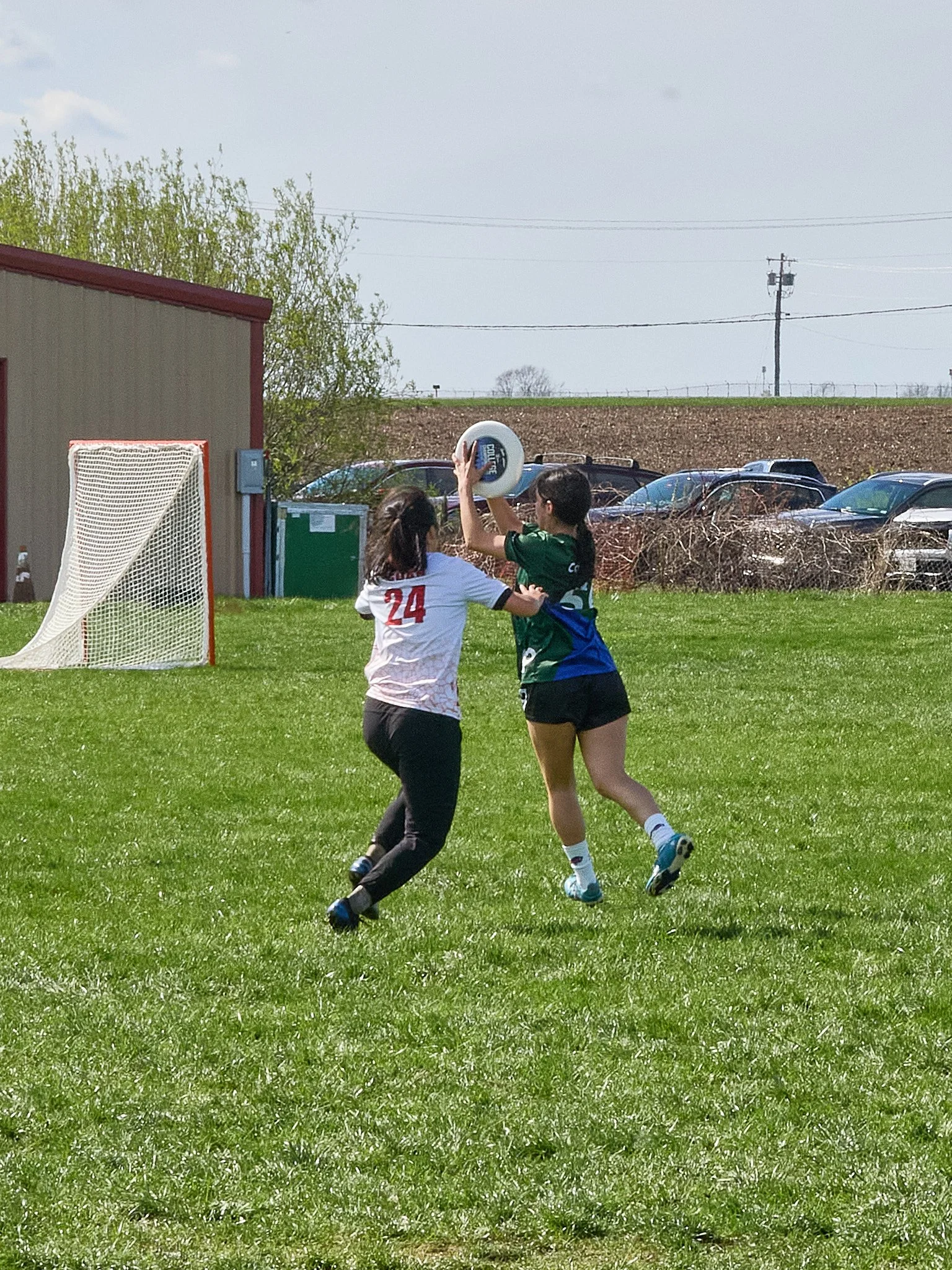 119_4264518.jpg