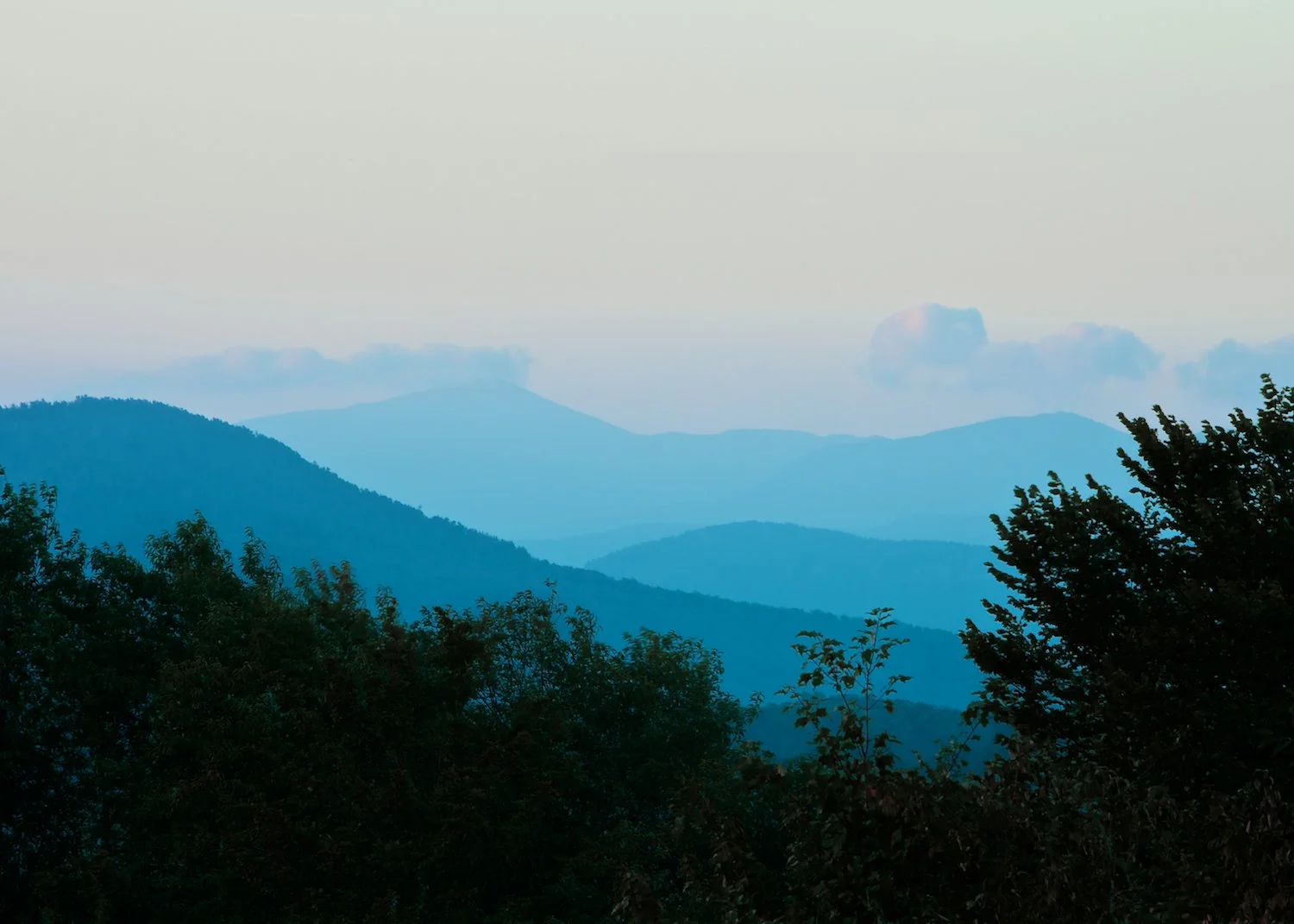 _13E1303 - Version 2.jpg