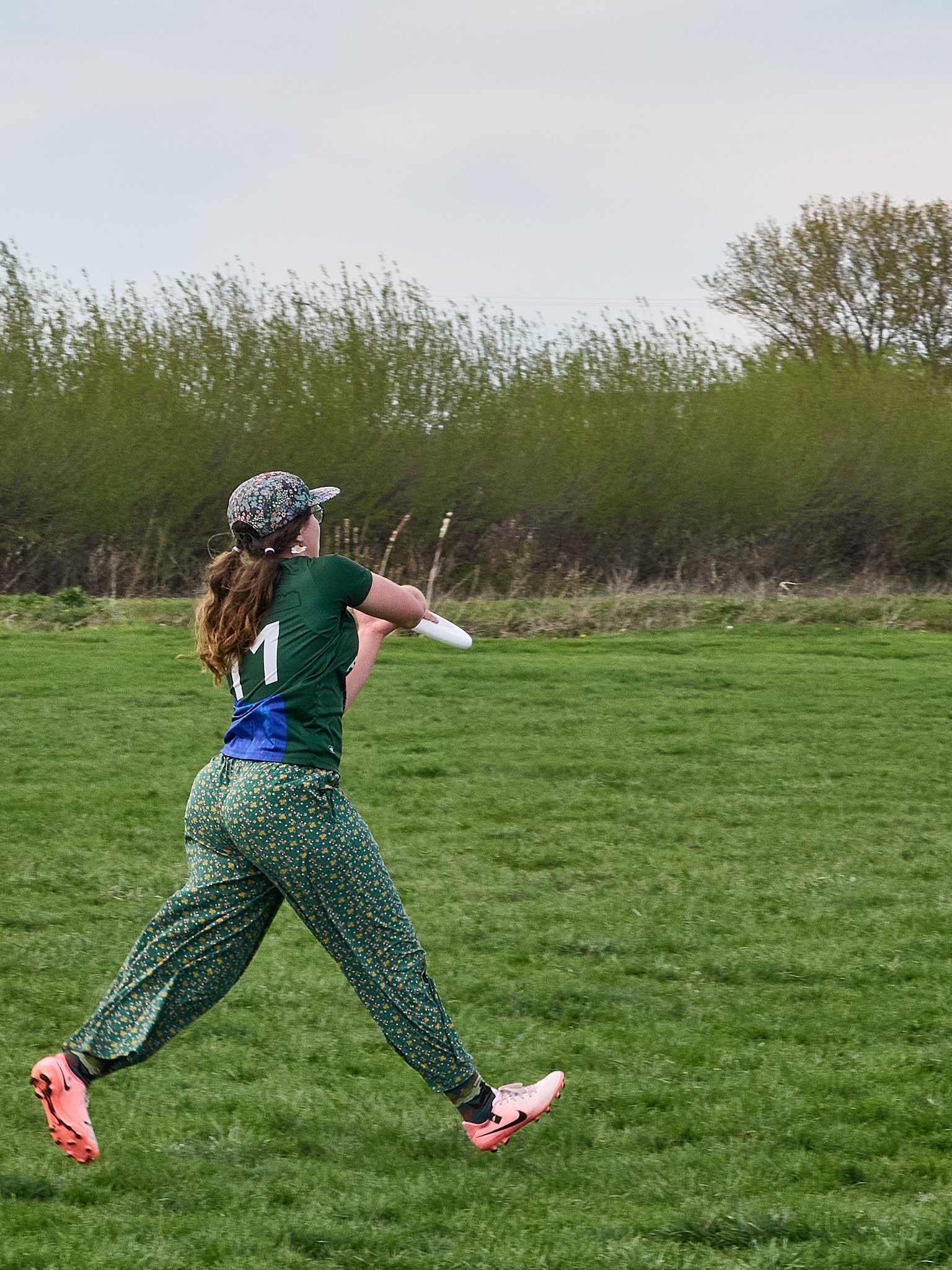 30_4263419.jpg