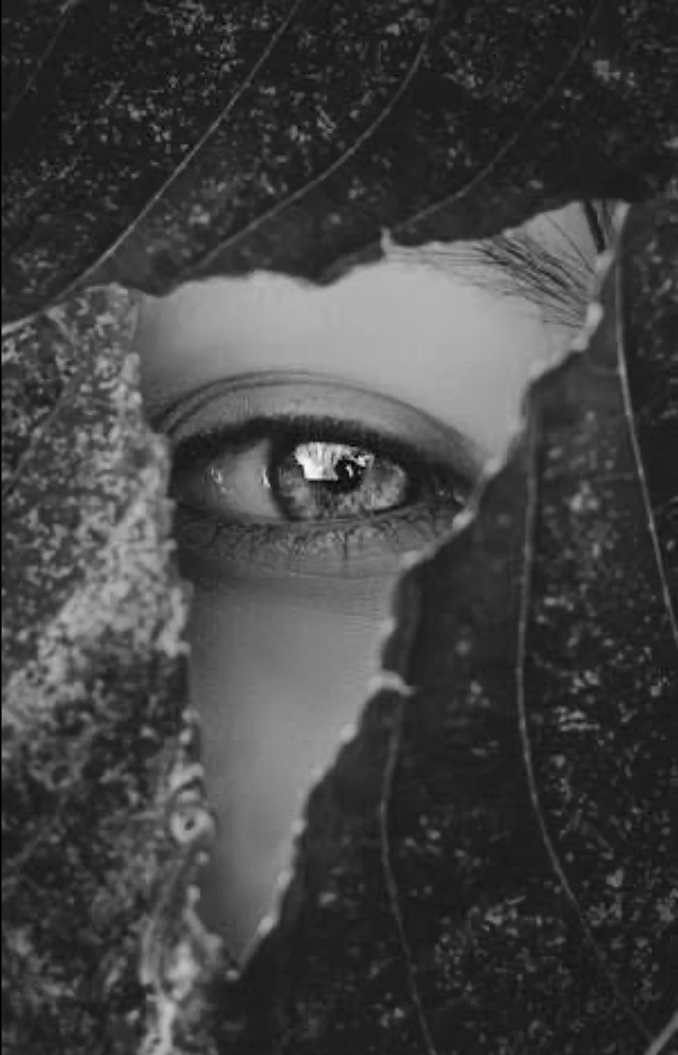 Eyes-012.jpg