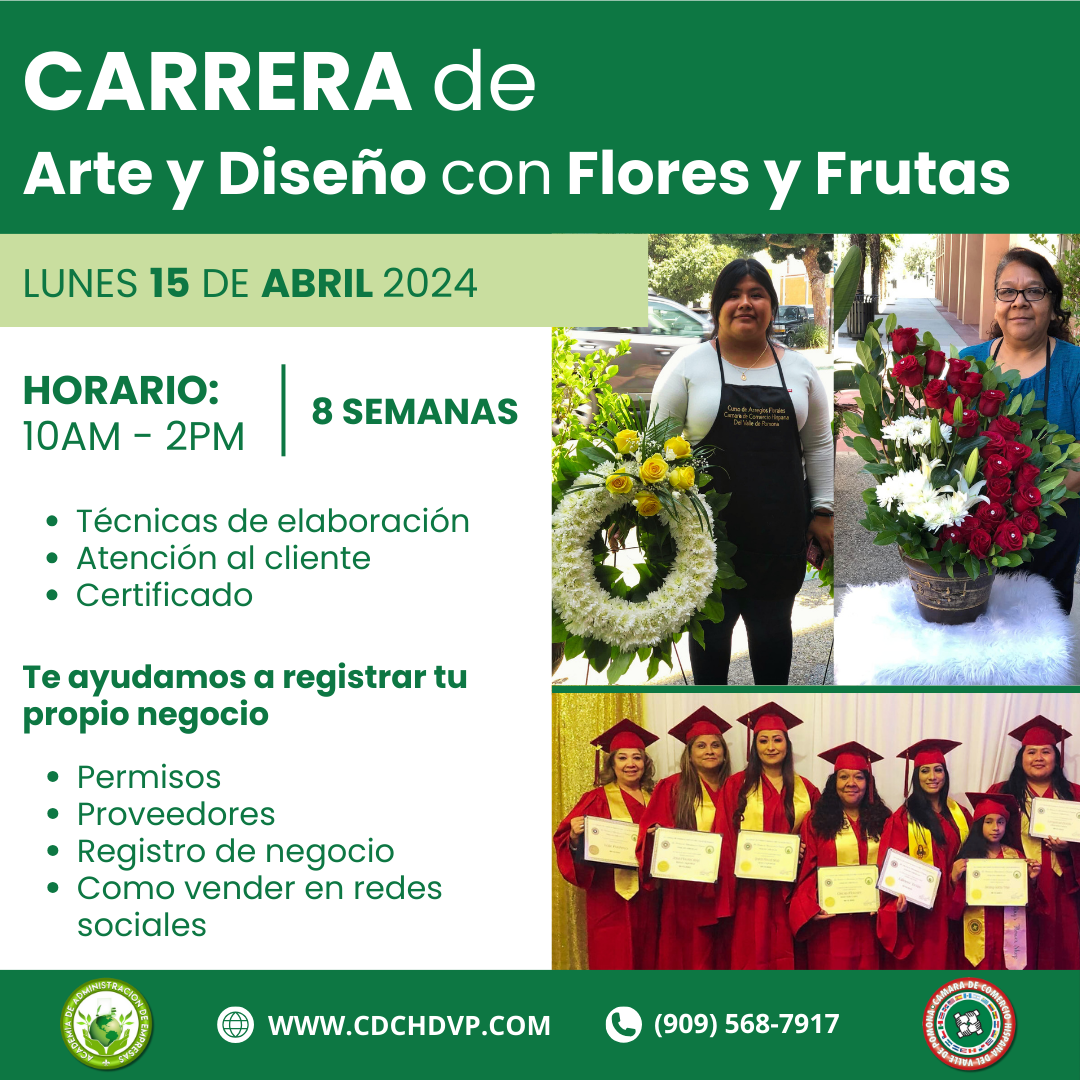 Carrera de Arte y Diseno con Flores y Frutas