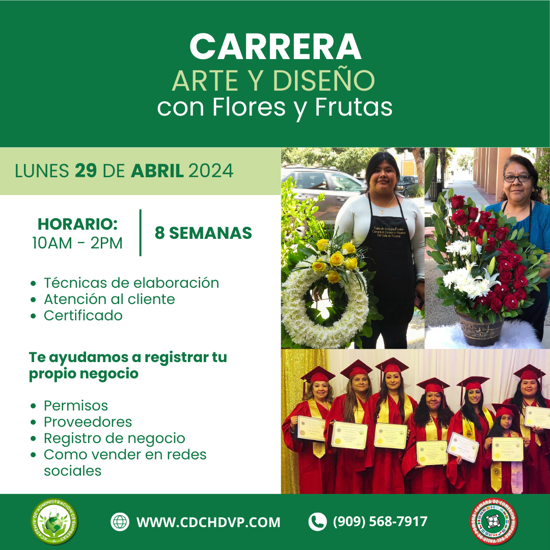 Carrera de Arte y Diseno con Flores y Frutas