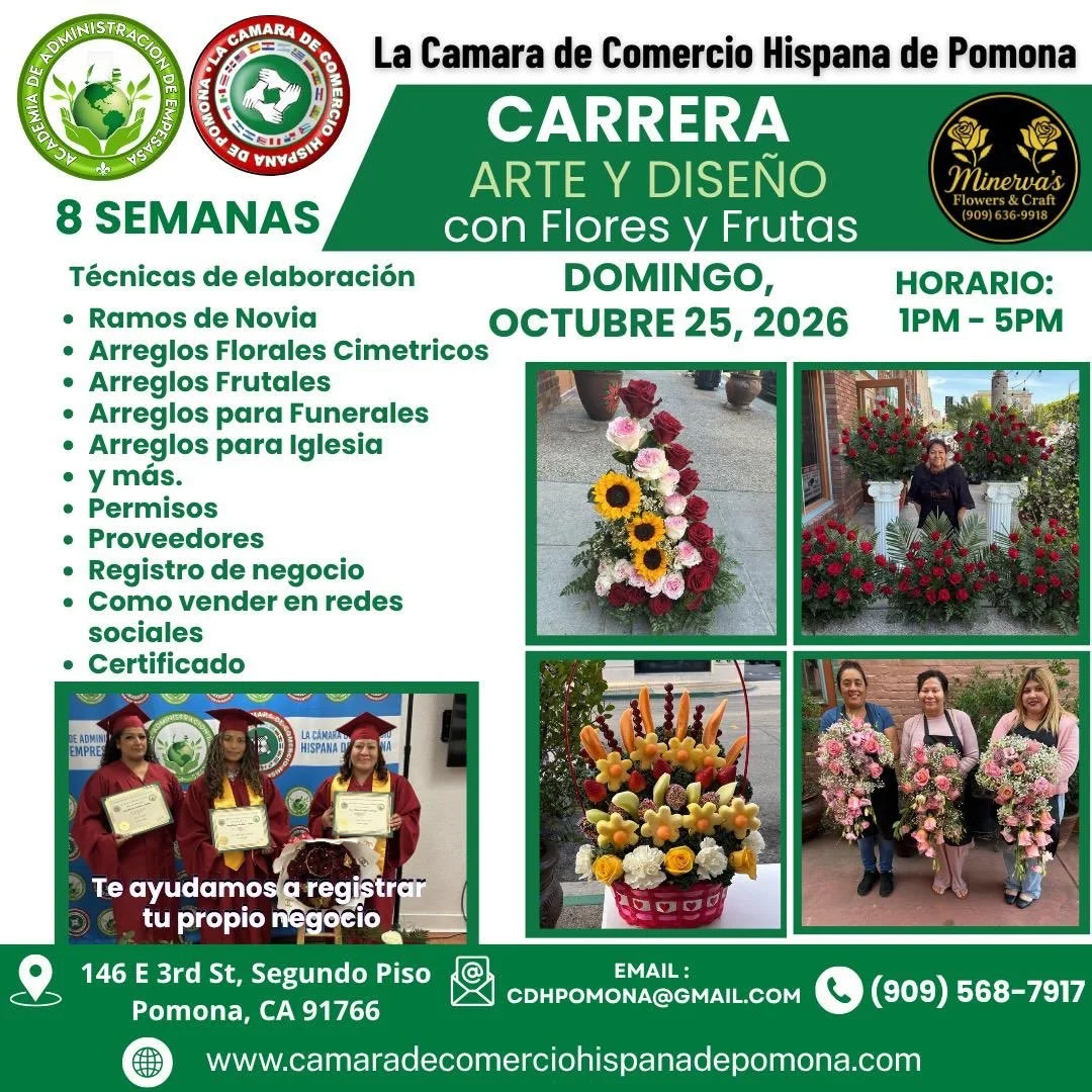 USTED APRENDE EL ARTE. NOSOTROS TAMBI&Eacute;N LE ENSE&Ntilde;AMOS HERRAMIENTAS PARA EMPRENDER.

Una carrera pensada para quienes quieren aprender una nueva habilidad, generar ingresos y comenzar a construir su propio negocio.

📞 Informaci&oacute;n 