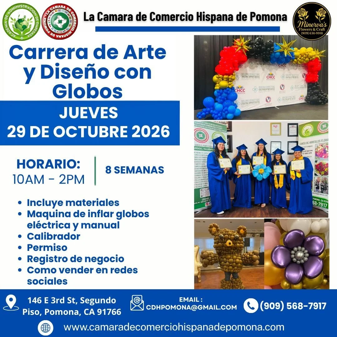 Inicia tu propio negocio en el mumdo de los globos 909 6369918 @followers #cursodeglobos