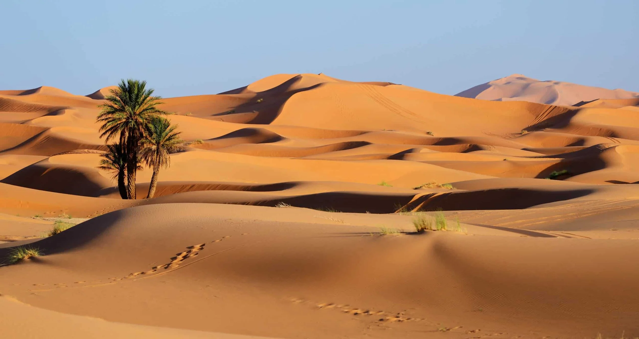 Sahara Desert.jpg