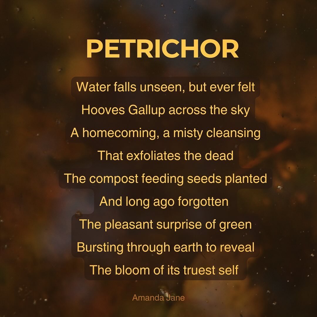 Go gather moss. Go sit among the rot and feel your soul revive itself.

#poems #poetry #petrichor