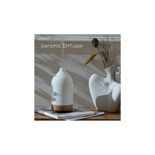 Ceramic Diffuser- No More Chemicals