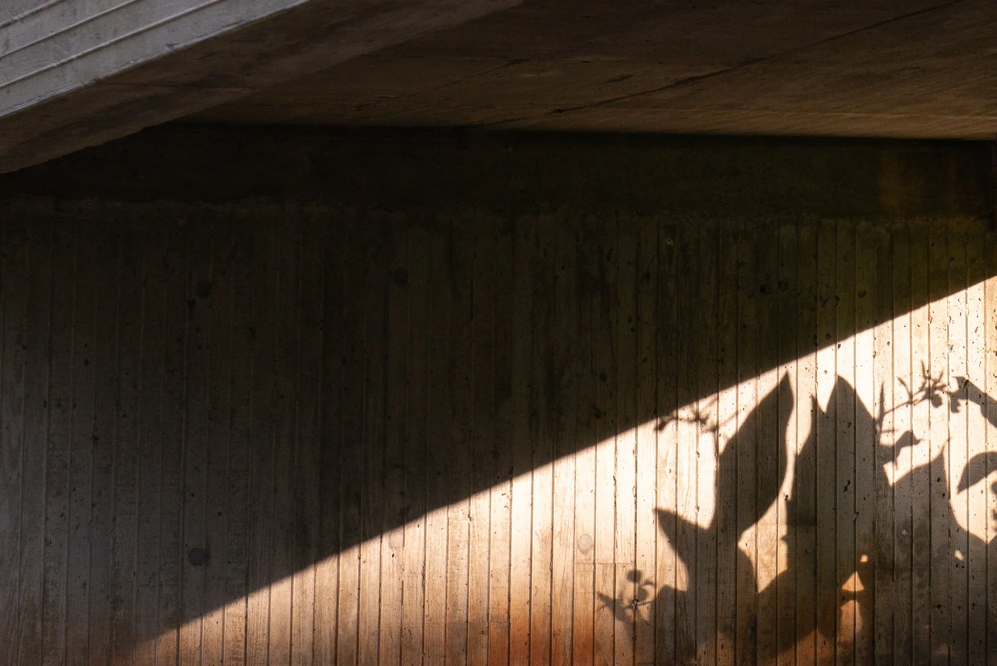 Cannon Chapel IV (Copy) (Copy)