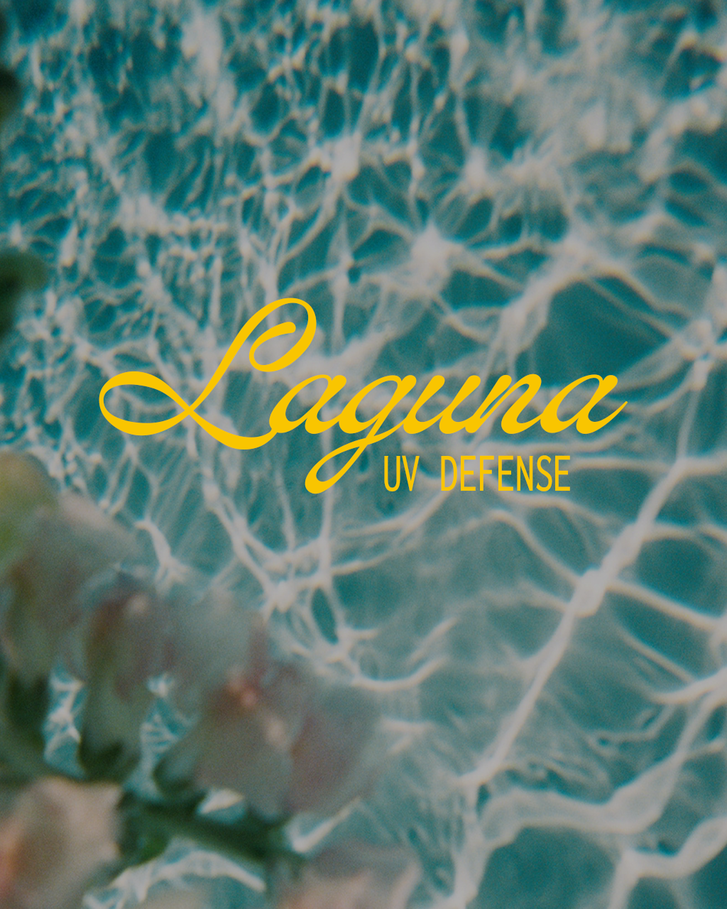 laguna1.png