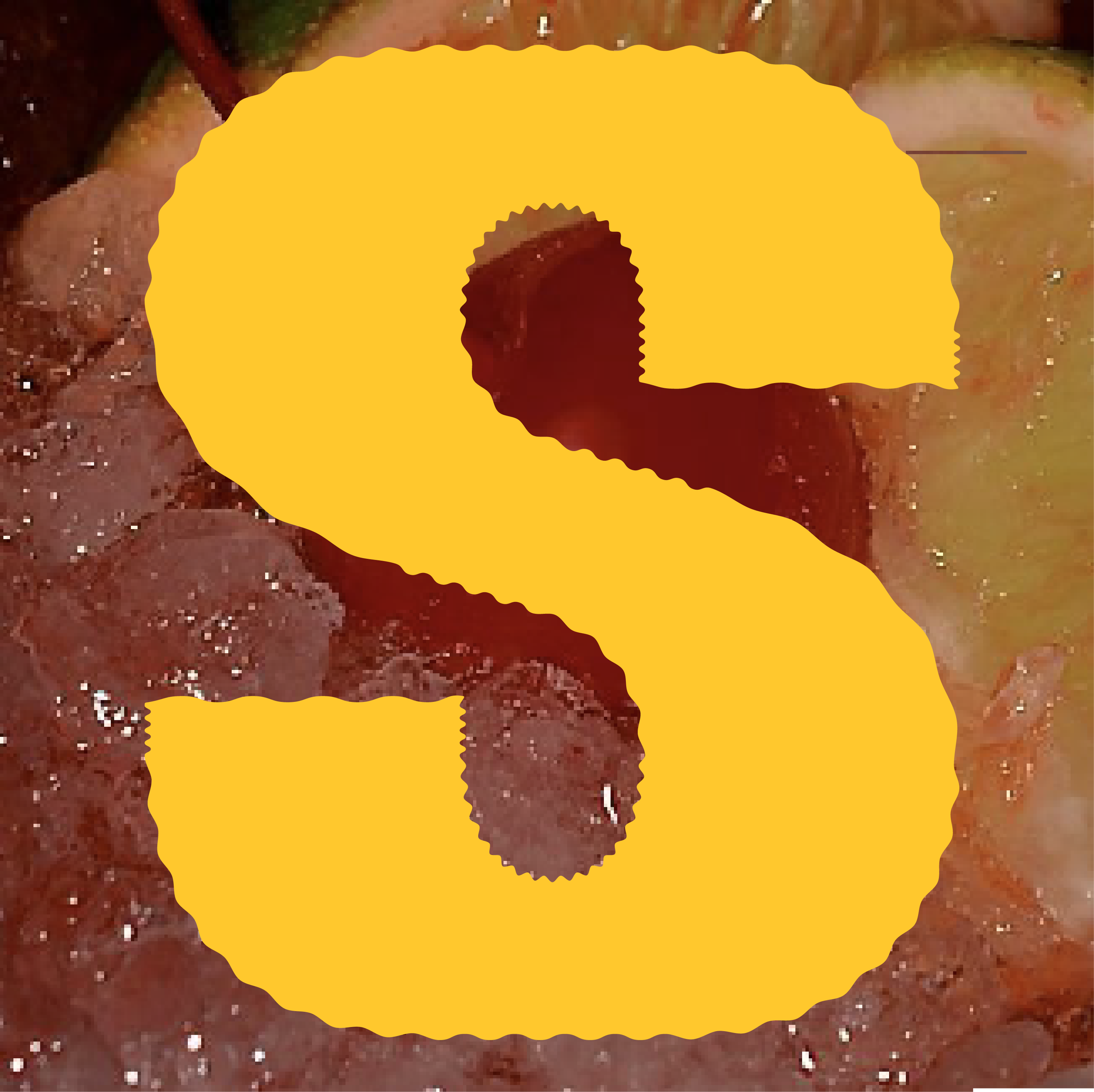 Untitled-4.png