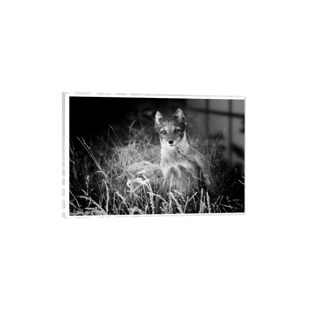 ptq_17_3_0_0_5184_3456_0_true_ffffff_1_1_.png
