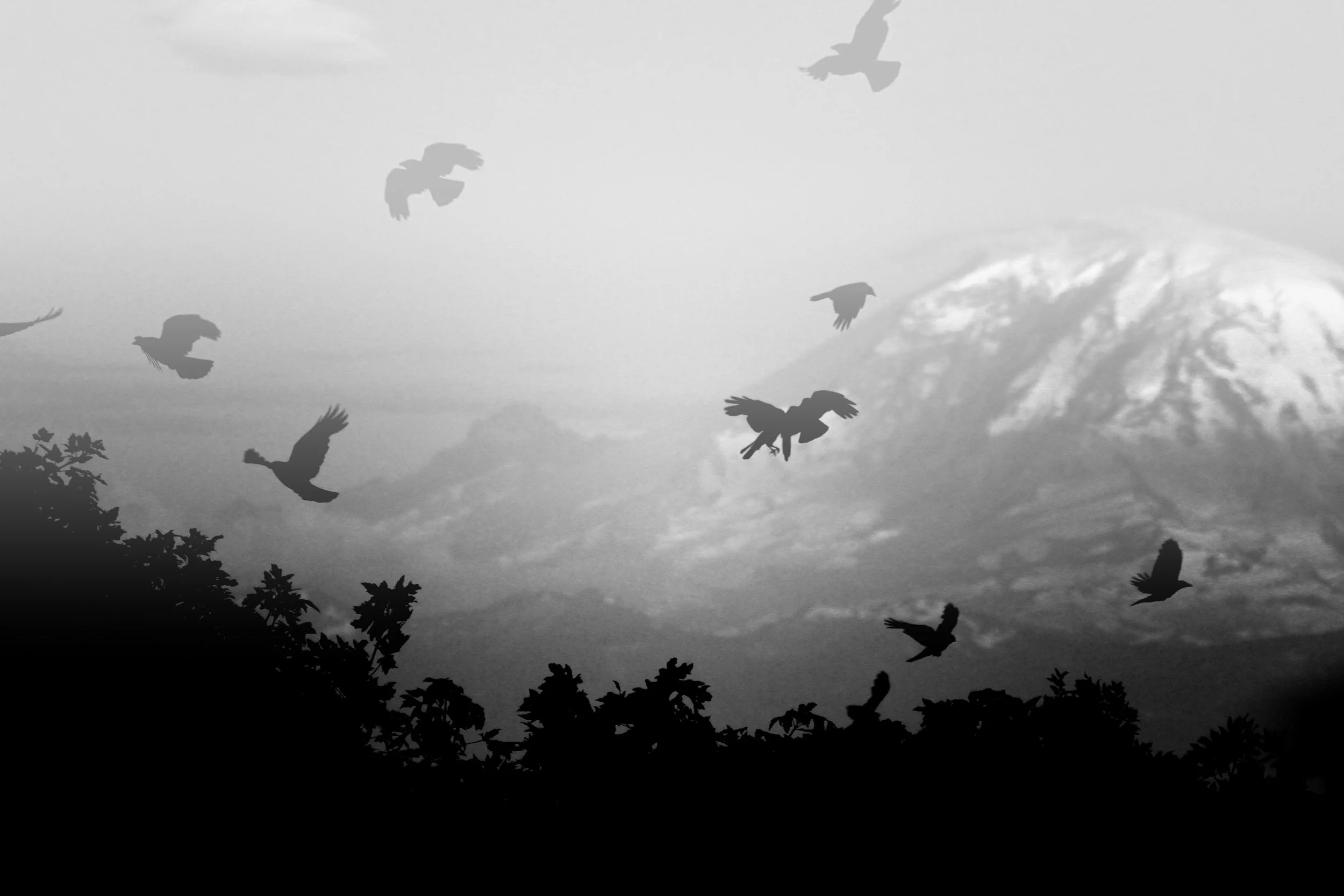 0250-July Images-Megan Perry Moore.jpg