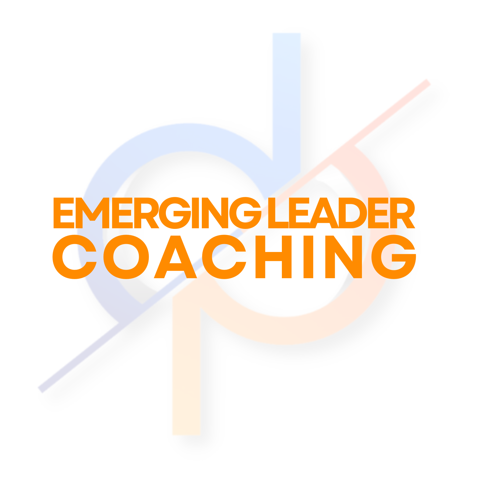 Graphic text reading: Emerging Leader Coaching
