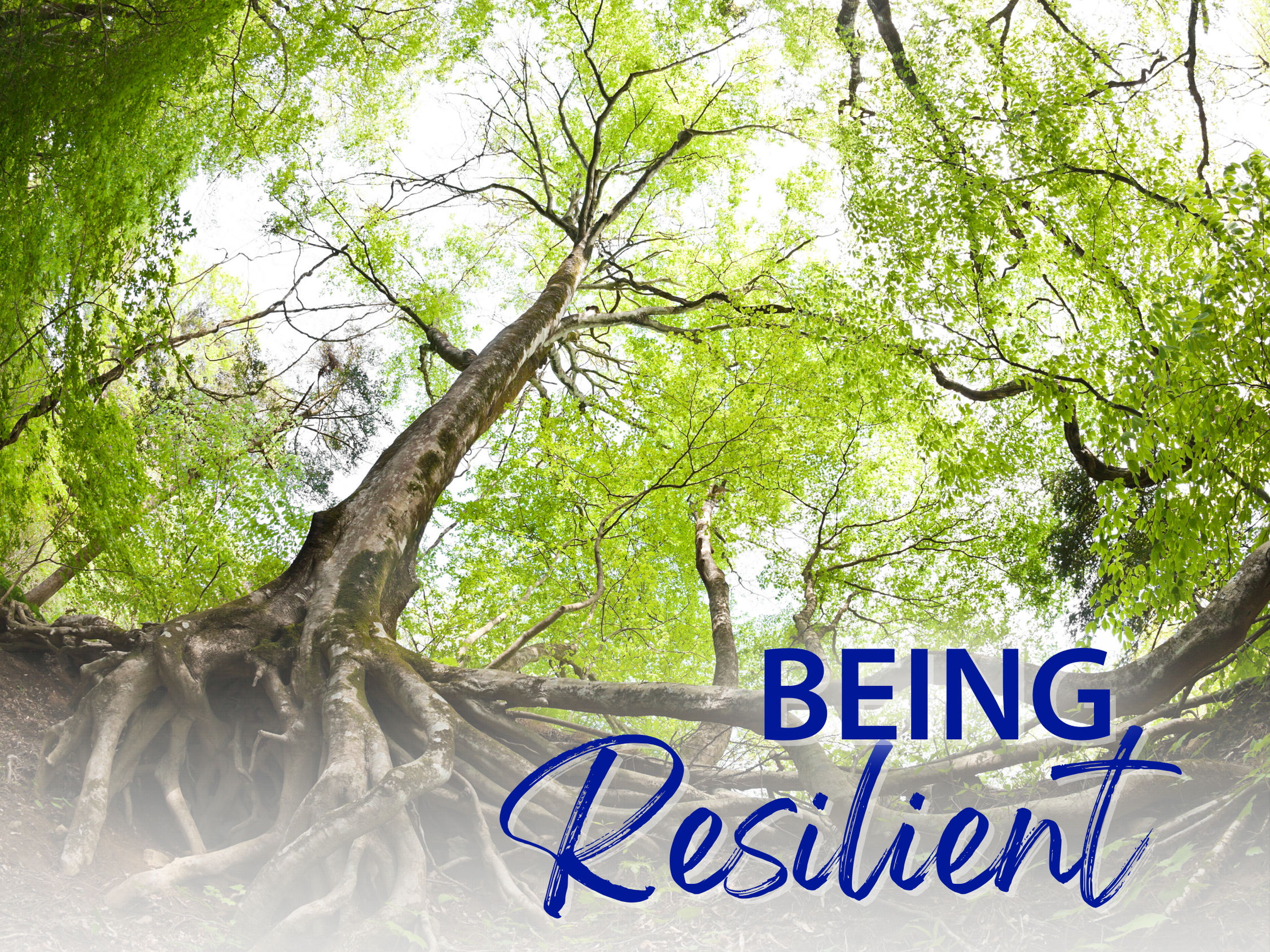 Graphic for Being Resilient